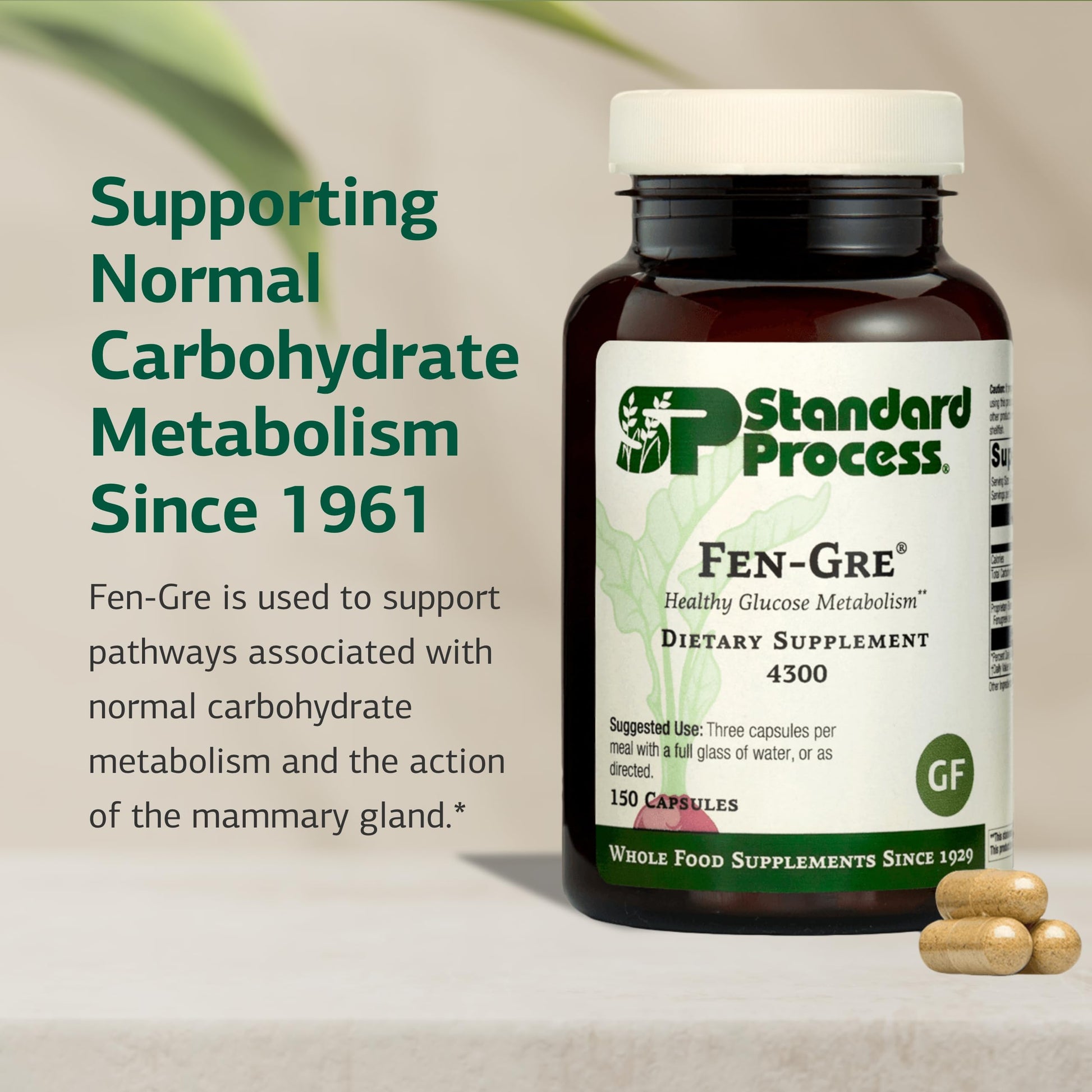 Standard Process Fen-Gre - Supports Respiratory Support & Healthy Metabolism - Aids Healthy Levels of Mucus & Phlegm - Supports Lung Health & Bronchial Tubes - Gluten-Free & Non-Dairy - 150 Capsules Standard Process Inc.Au supplements