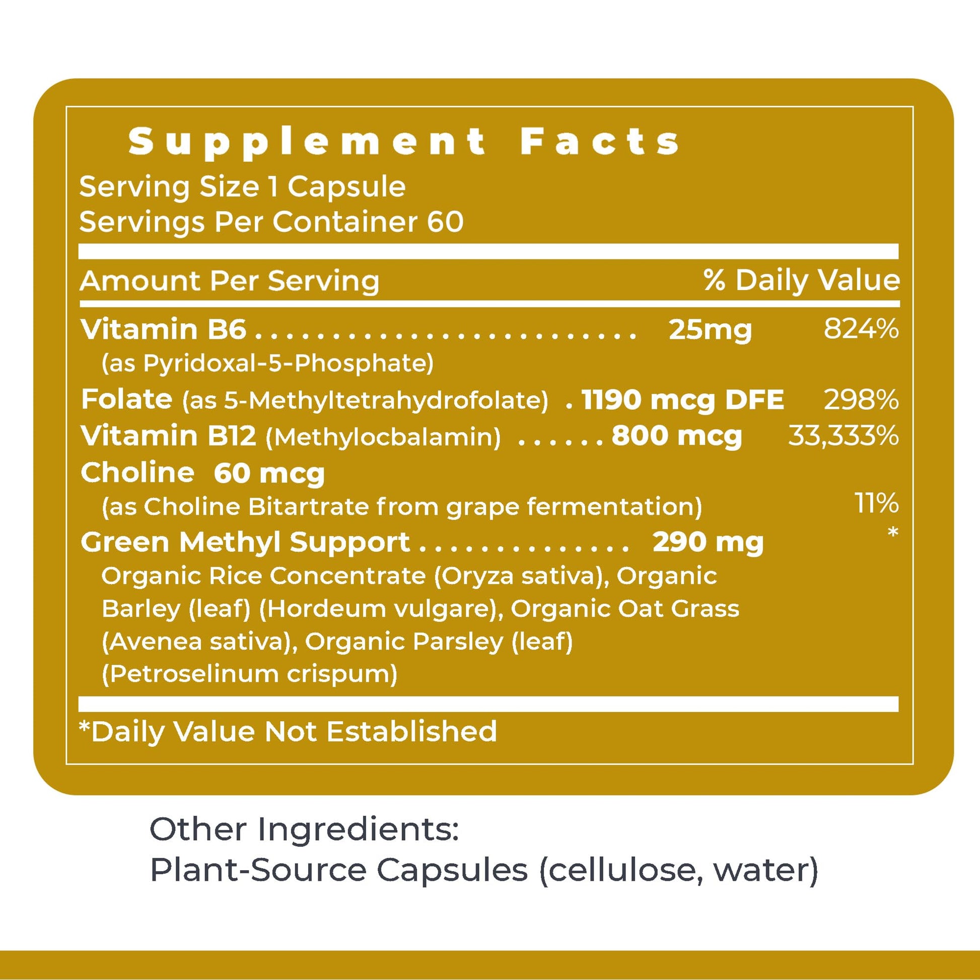 Premier Research Labs Phyto Methylate - B Vitamin Supplement - Supports Methylation, Detox, Brain & Heart Health - 5-MTHF & P5P - 60 Plant-Source Capsules Premier Research LabsAu supplements