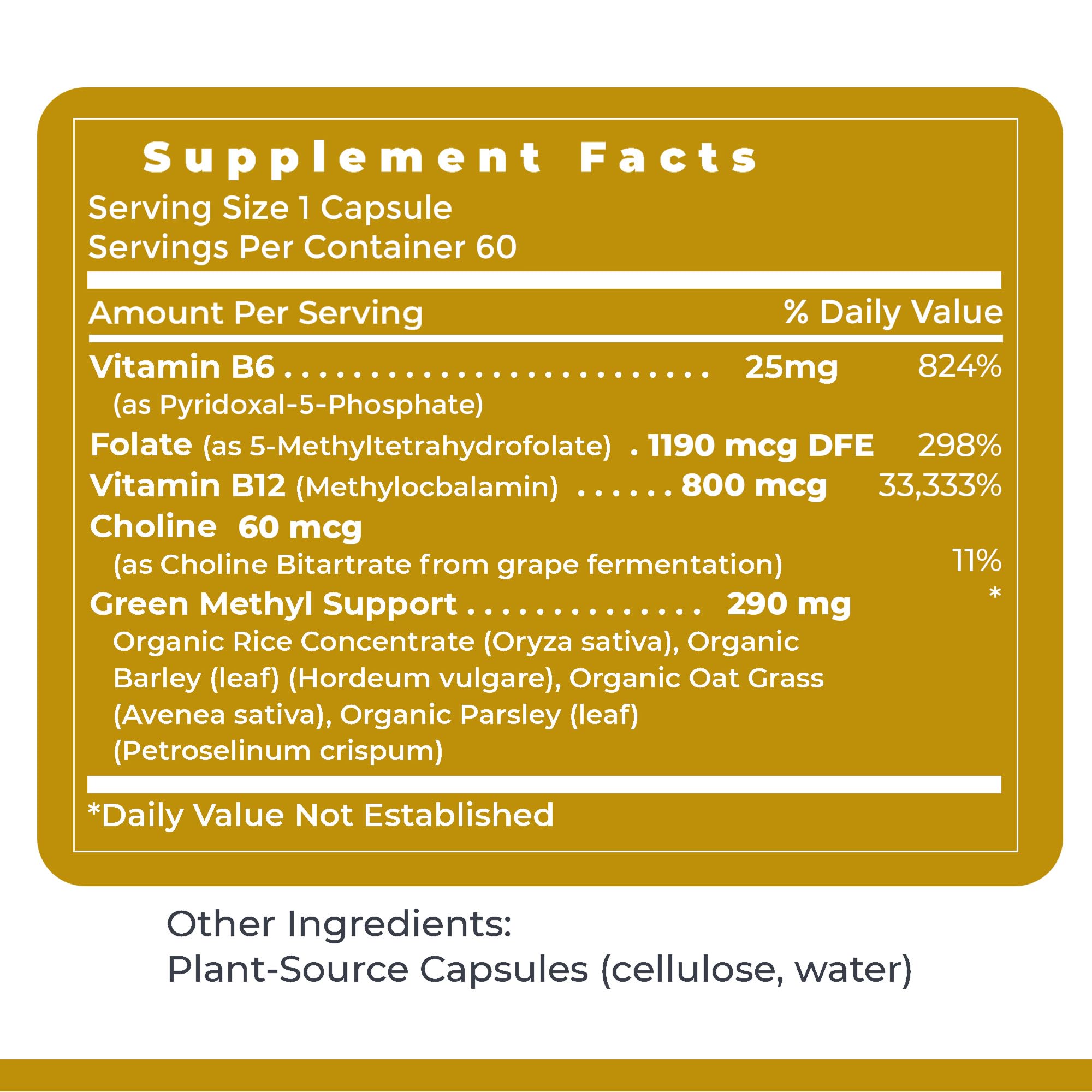 Premier Research Labs Phyto Methylate - B Vitamin Supplement - Supports Methylation, Detox, Brain & Heart Health - 5-MTHF & P5P - 60 Plant-Source Capsules Premier Research LabsAu supplements