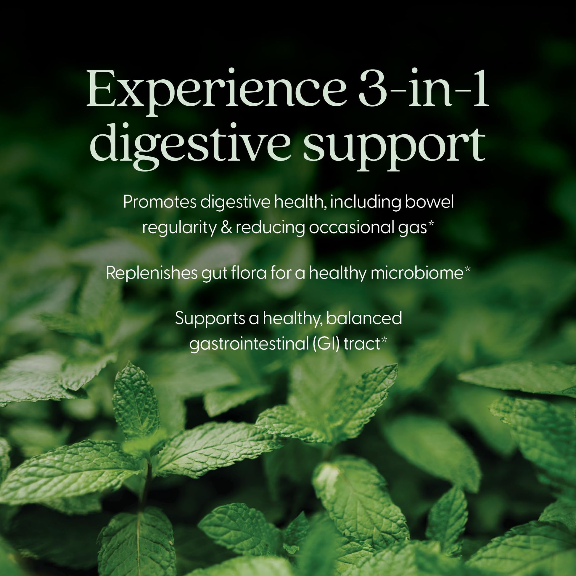 New Chapter All-Flora Probiotic for Advanced Digestion & Complete Gut Health with Prebiotics + Postbiotics, Clinical-Strength Strains, 100% Vegetarian, Non-GMO, Shelf Stable - 60 ct (2 Month Supply) New ChapterAu supplements