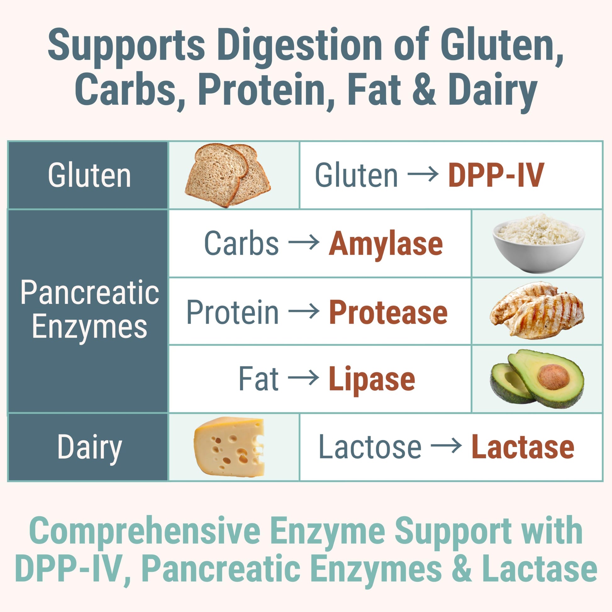 Gluten & Lactase Digestive Enzyme Gummies – Lactase Pancreatic Enzymes with DPP‑IV Lipase Gluco‑Amylase Lactase, Drops Chewables Capsules Pills Powder Supplement Alt, Pancreatic Support, for Kids SHIZAMAu supplements