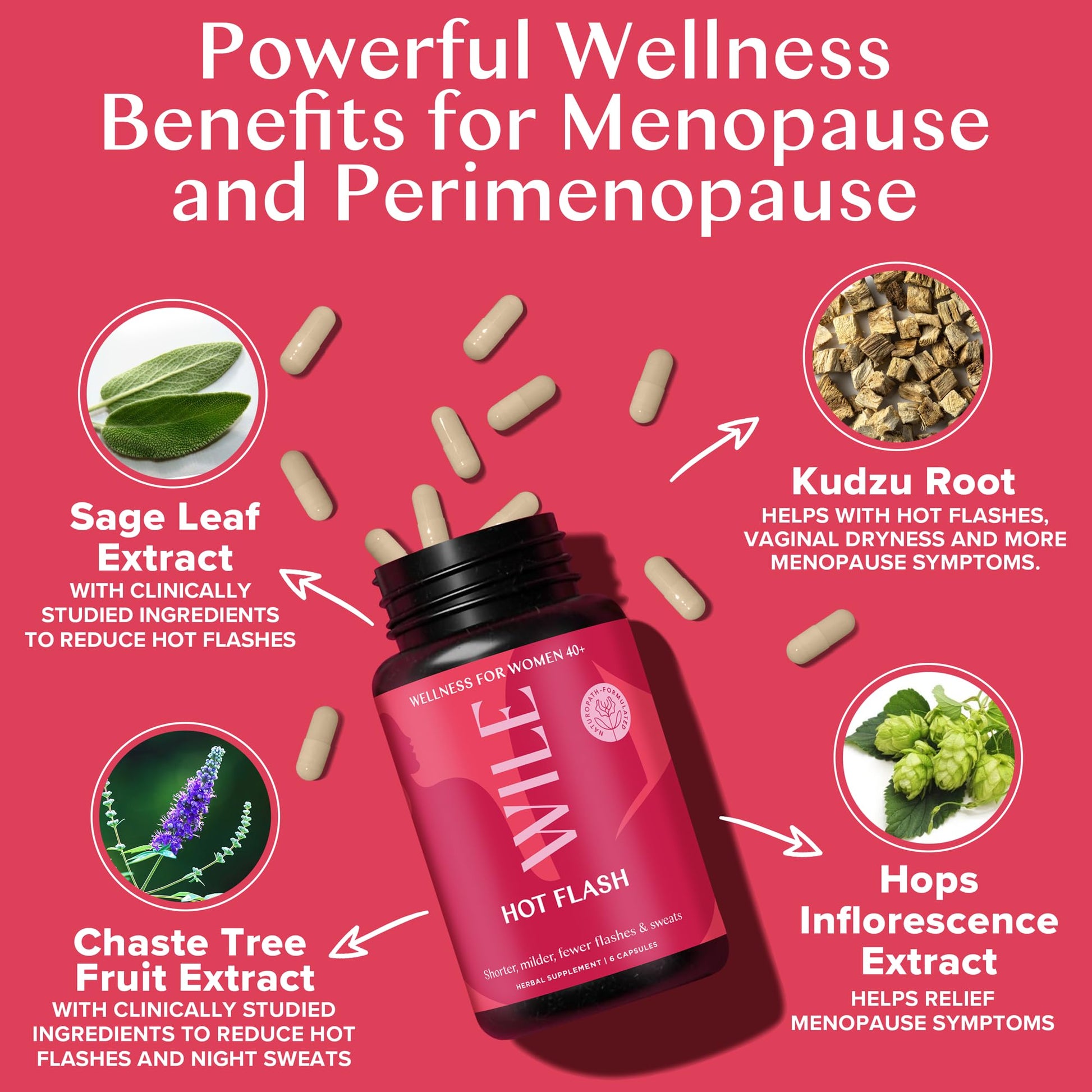WILE Menopause and Perimenopause Supplements for Women - Hot Flashes and Night Sweats Relief with Kudzu Root - Premenopause Support for Stress, Hot Flash, Hormone Balance & Restful Sleep, 30 Servings WILEAu supplements
