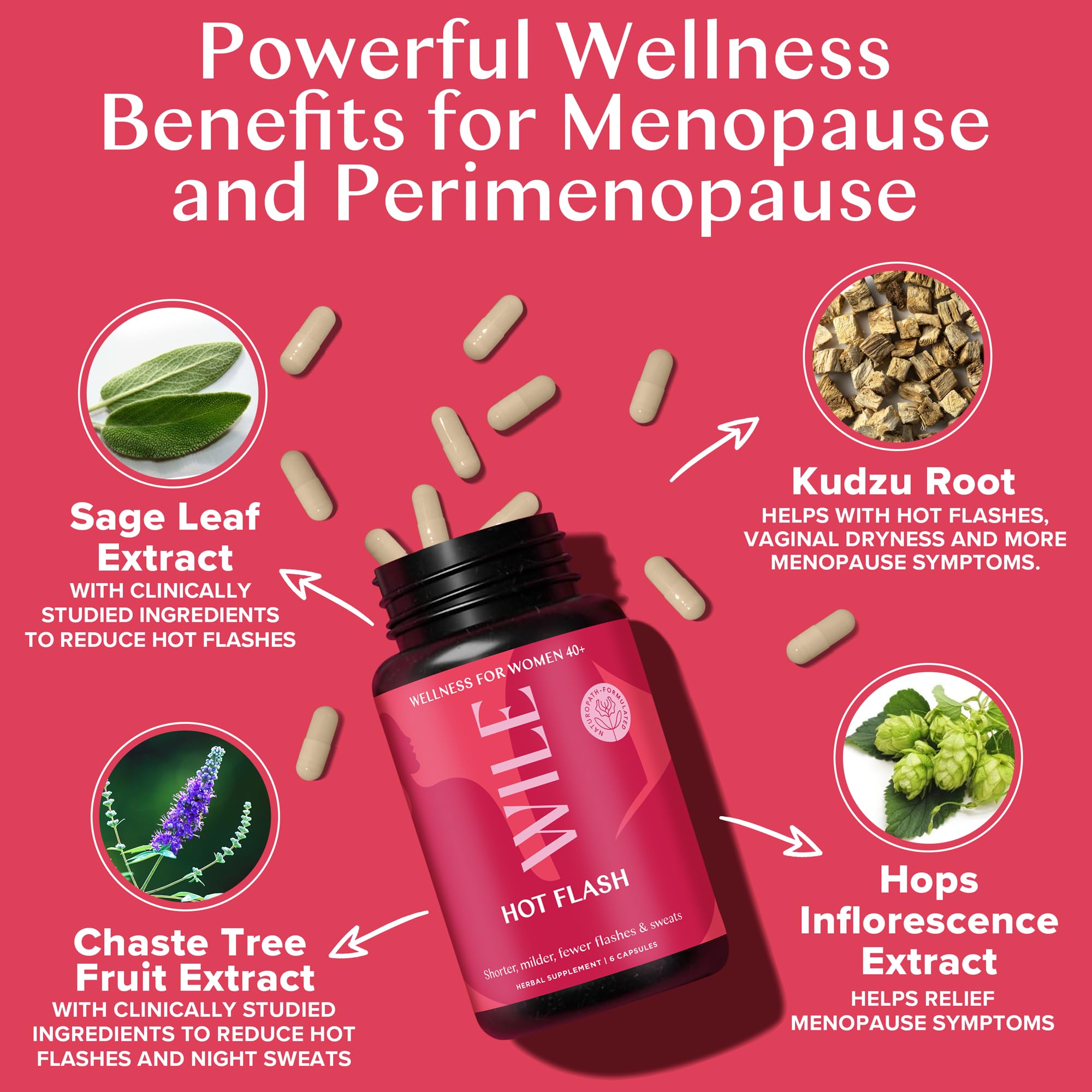 WILE Menopause and Perimenopause Supplements for Women - Hot Flashes and Night Sweats Relief with Kudzu Root - Premenopause Support for Stress, Hot Flash, Hormone Balance & Restful Sleep, 30 Servings WILEAu supplements