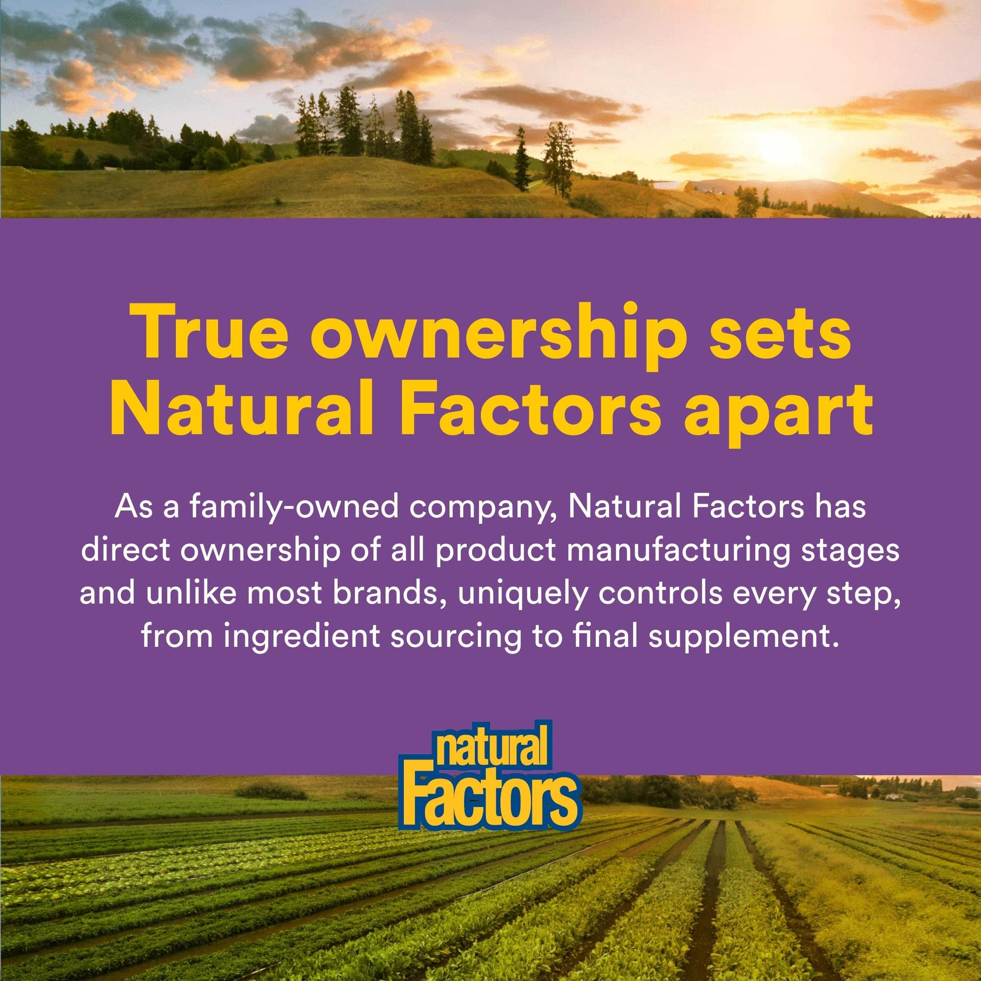 Natural Factors Pharma GABA - Dietary Supplement Supports Calm Sleep & Sleep Quality - Natural, Fast-Working Supplement Aids Focus & Brain Health - 60 Chewable Tablets (60 Servings) Natural FactorsAu supplements