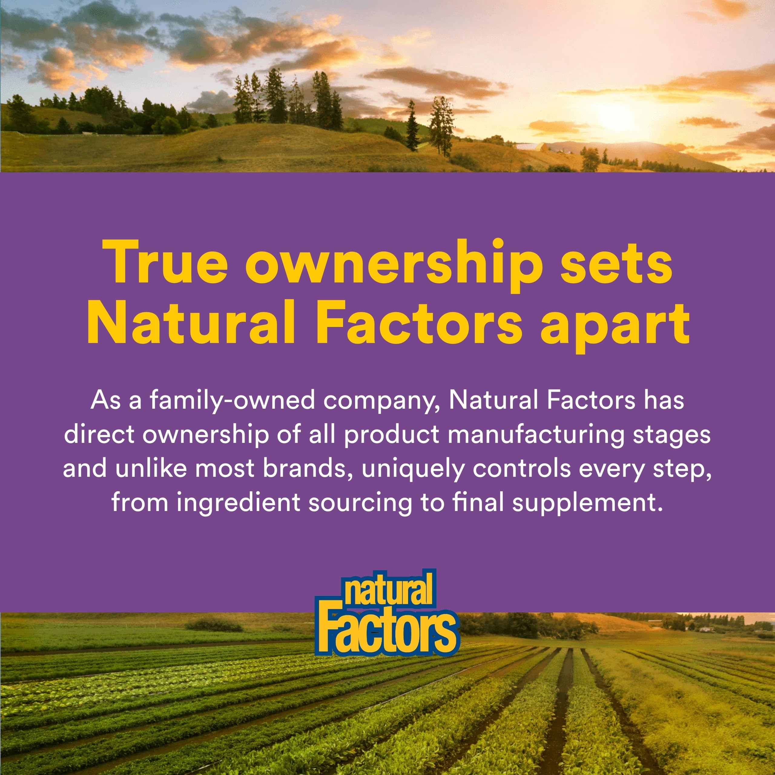 Natural Factors Pharma GABA - Dietary Supplement Supports Calm Sleep & Sleep Quality - Natural, Fast-Working Supplement Aids Focus & Brain Health - 60 Chewable Tablets (60 Servings) Natural FactorsAu supplements
