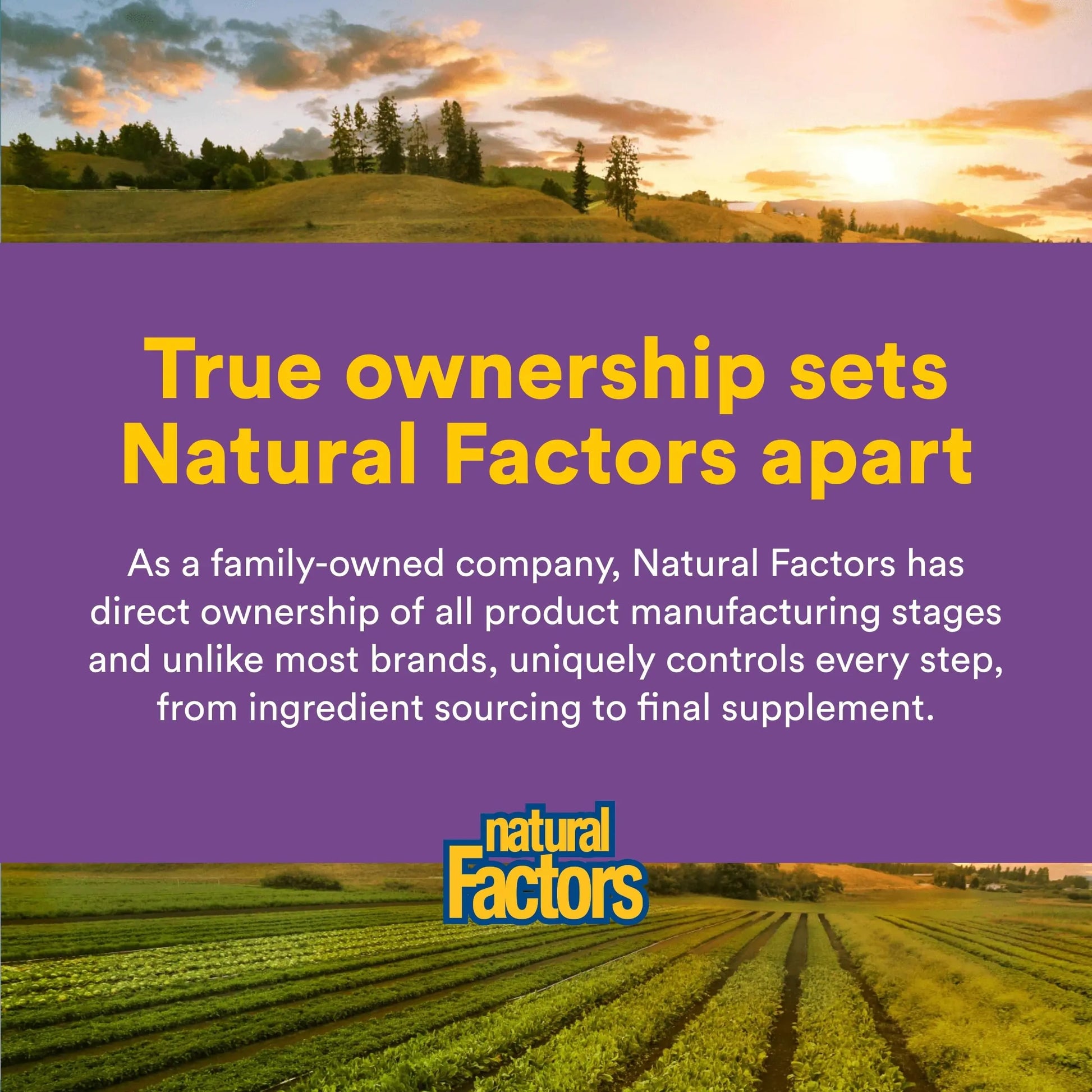 Natural Factors Pharma GABA - Dietary Supplement Supports Calm Sleep & Sleep Quality - Natural, Fast-Working Supplement Aids Focus & Brain Health - 60 Chewable Tablets (60 Servings) Natural Factorsnz supplements