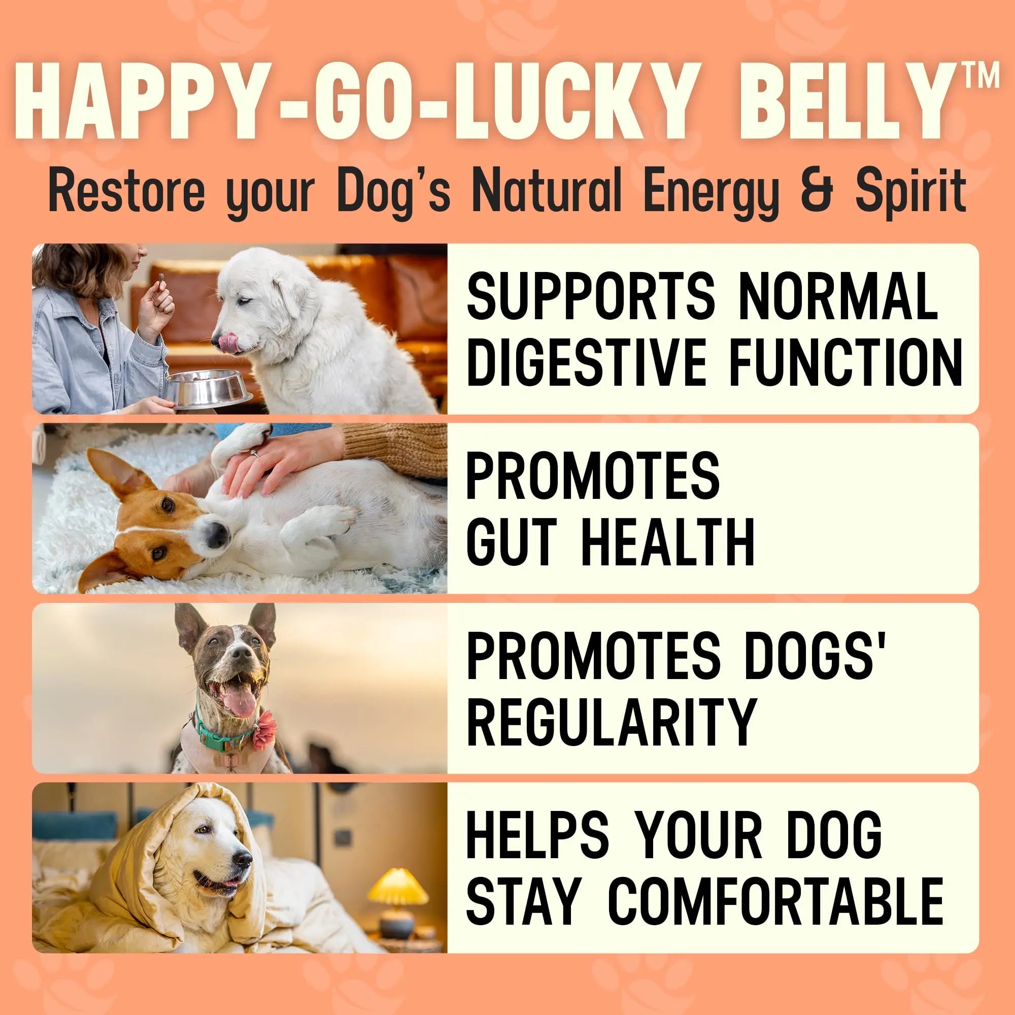 Better Dog Supplements Happy-Go-Lucky Belly by Cesar Millan - Natural Dog Digestive Support Powder – Dog Constipation Relief, Gut Balance & Regularity with Herbal Fiber for Dogs – 4oz (60-Day Supply) Better Dog Supplements By Cesar Millannz supplements