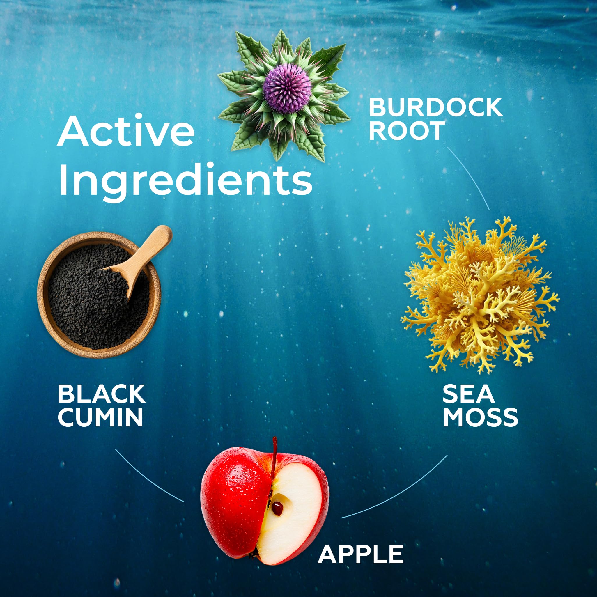 Irish Sea Moss Liquid Drops - 3000mg Formula - with Bladderwrack, Burdock Root & Black Cumin Seed - Liquid Supplement - Apple Flavor - 2 Fl Oz (60ml) TrueSeaMossAu supplements