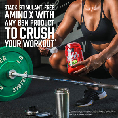 BSN Amino X Muscle Recovery & Endurance Powder with BCAAs, Intra Workout Support BSNUS supplements
