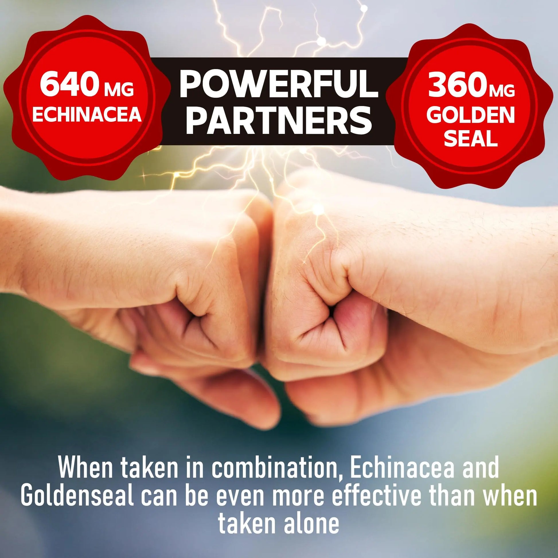 DEDICAD 1000mg Echinacea Goldenseal Capsules - Support Immune System, Well-Being & Overal Health - 60 Veggie Capsules - Non-GMO, Gluten-Free DEDICADnz supplements