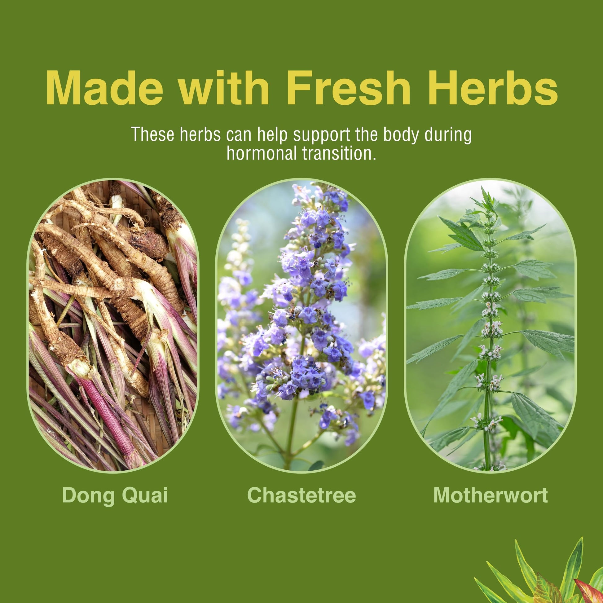 Herbs Etc. Menopautonic Softgels - Essential Supplement for Women - Hormonal Transition Support Supplement - Offers Menopausal Support with Dong Quai & Motherwort - 120 Softgels (120 Servings) Herbs Etc.Au supplements