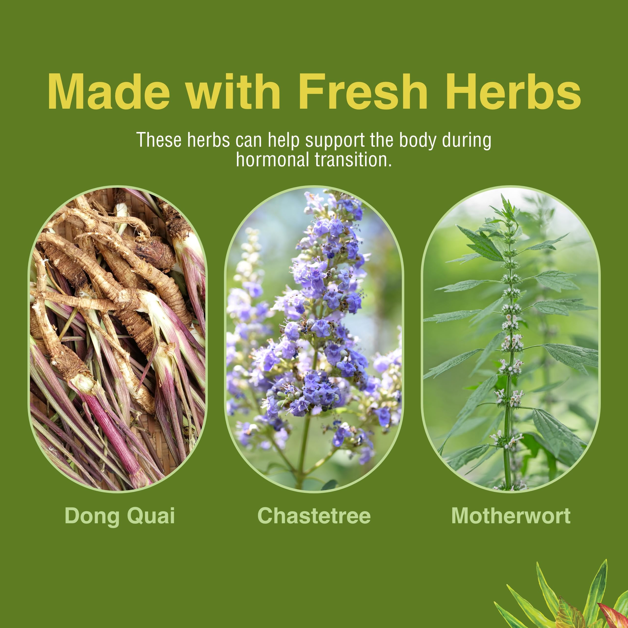 Herbs Etc. Menopautonic Softgels - Essential Supplement for Women - Hormonal Transition Support Supplement - Offers Menopausal Support with Dong Quai & Motherwort - 120 Softgels (120 Servings) Herbs Etc.Au supplements