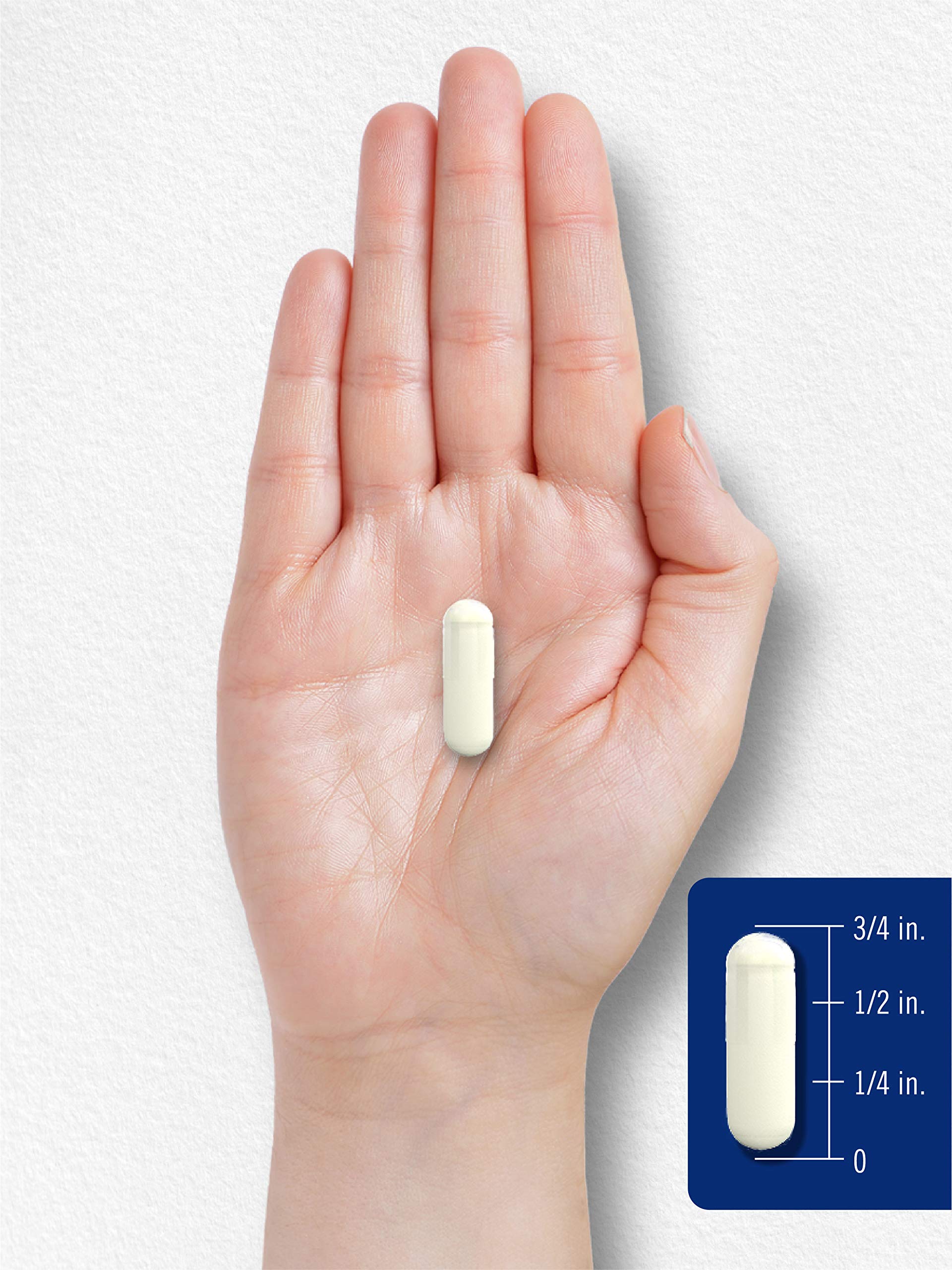Carlyle L Methylfolate 15mg | 120 Capsules | Value Size | Max Potency | Optimized CarlyleUS supplements