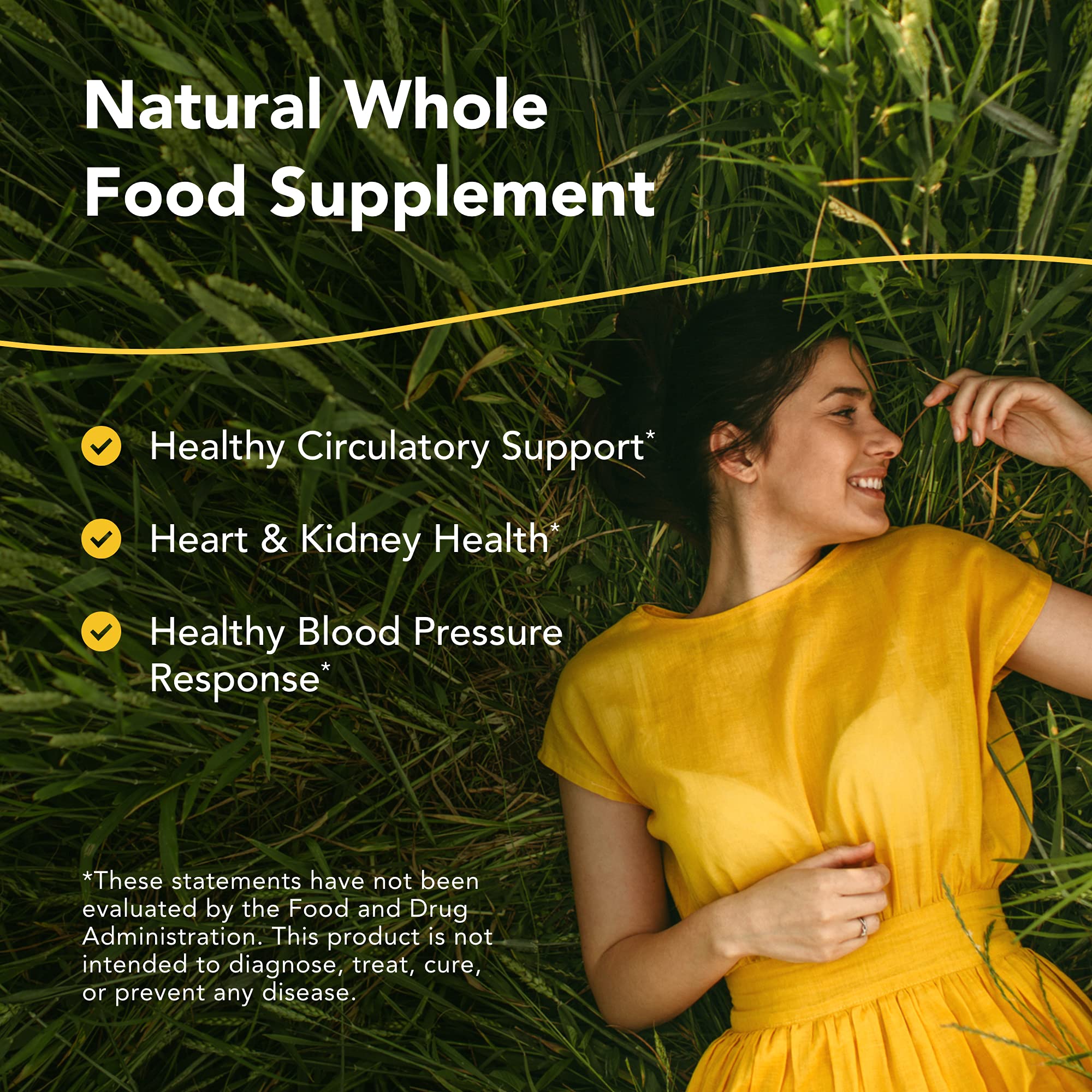 NORTH AMERICAN HERB & SPICE Hyper-eeZ - 90 Vegi Caps - Herbs, Spices, Flowers, Berry Blend - Blood Pressure & Circulation Support - Assists with Heart, Circulation, Kidneys - Non-GMO - 90 Servings NORTH AMERICAN HERB & SPICEAu supplements