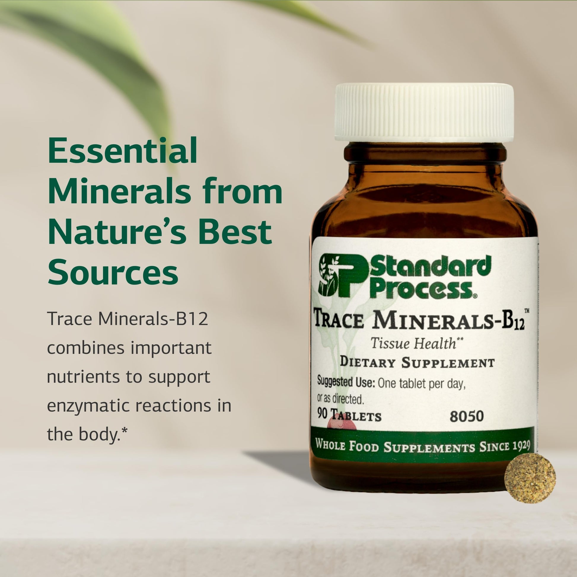 Standard Process Trace Minerals-B12 - Thyroid & Cell Functioning Support with Iodine, Zinc & Copper - Cartilage & Bone Health Aid - Non-Dairy & Non-Soy - 90 Tablets (90 Servings) Standard Process Inc.Au supplements