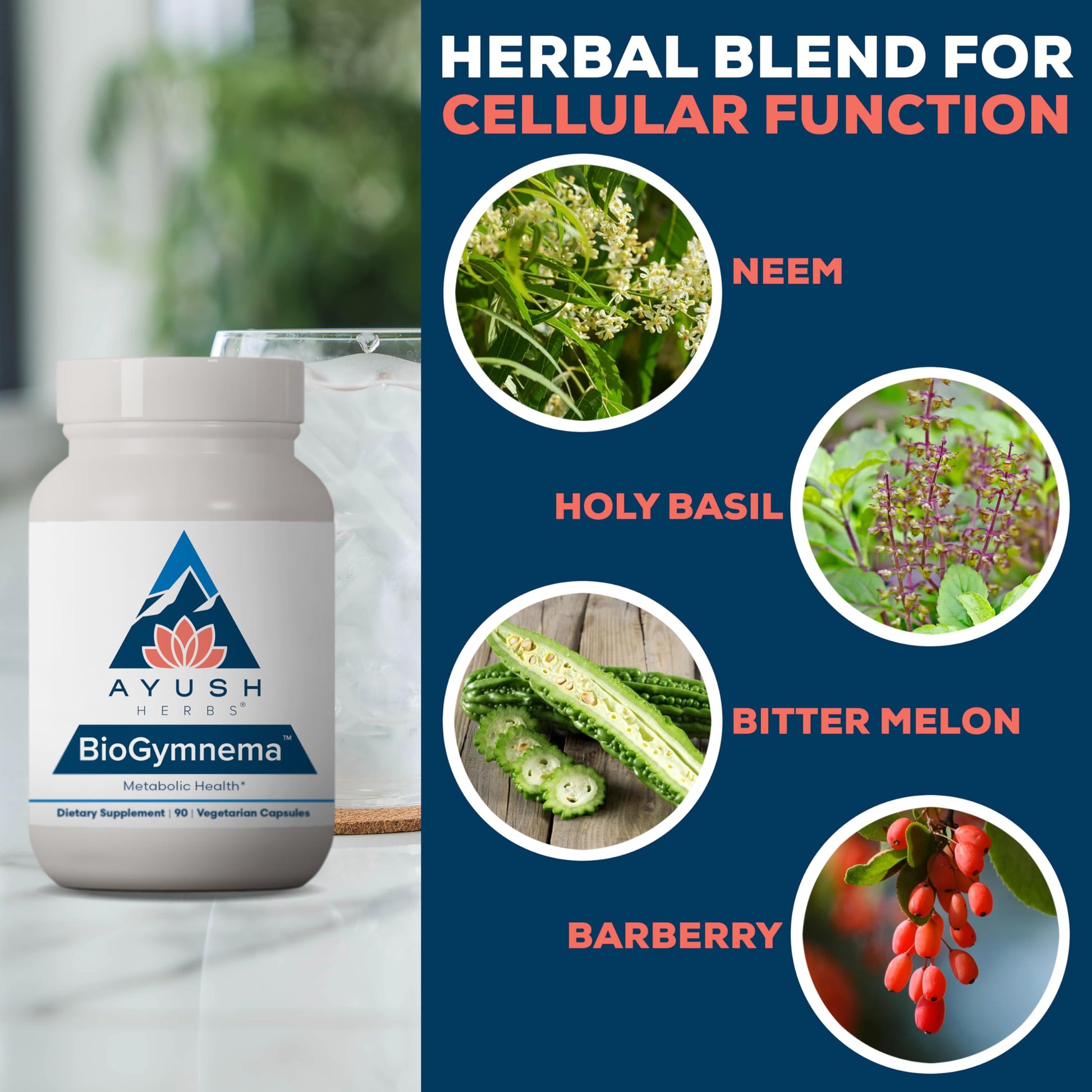 Ayush Herbs BioGymnema - Metabolic Vitamin & Herb Blend, Metabolic Health Supplement for Women & Men with Biotin, Berberine, Bitter Melon & Gymnema, Nutrient Support - 90 Servings Ayush HerbsAu supplements