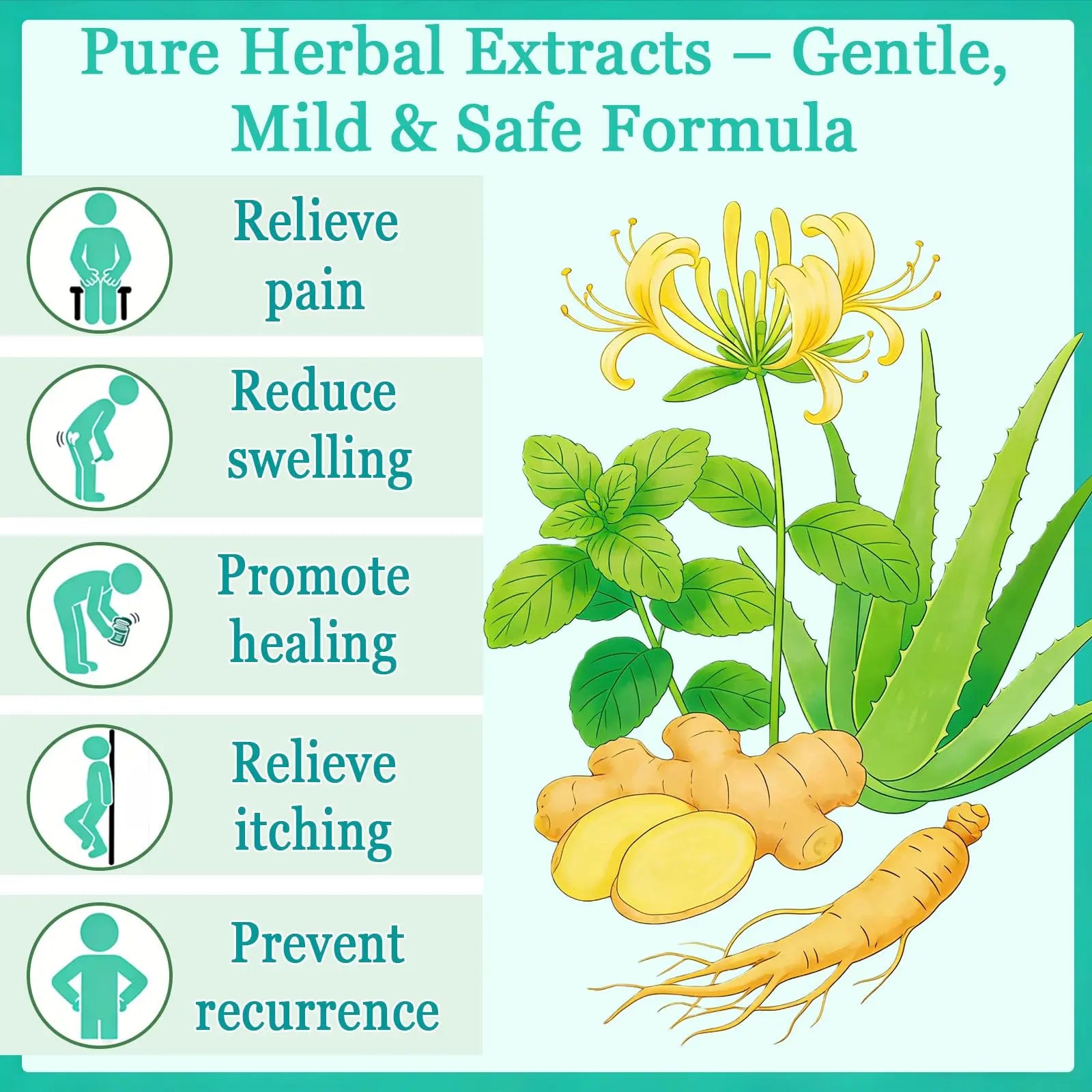 Hushblade Hemorrhoid Body Cream, Natural Herbal Hemorrhoid Cream, for Men and Women Moisturizing and Nourishing HushbladeAu supplements