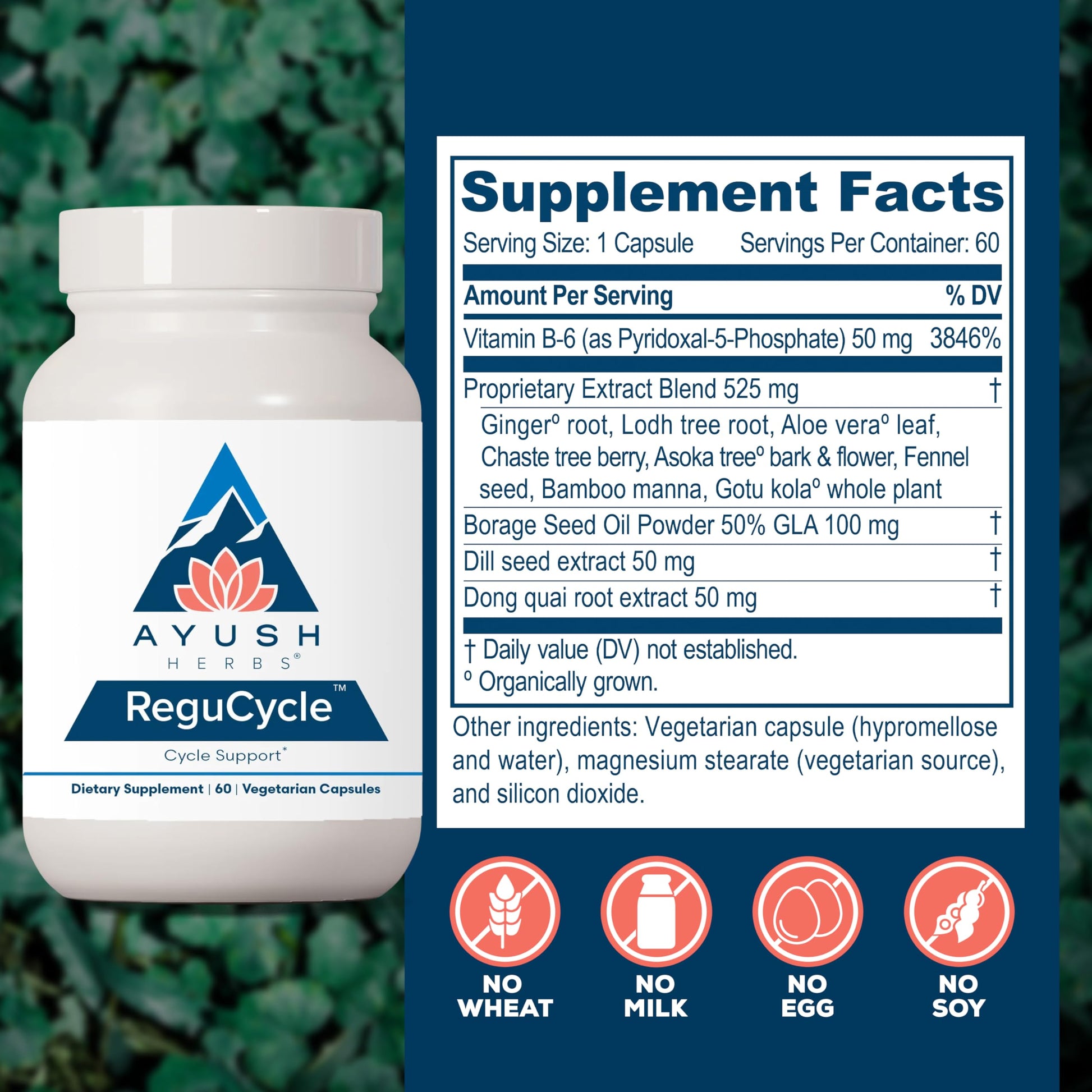 Ayush Herbs Regu-Cycle - Hormone Balance for Women, Hormonal Support, Period Support & Relief, Reproductive Health, Regulate Menstrual Cycle, Ovarian Support Supplement - 60 Vegetarian Capsules Ayush HerbsAu supplements