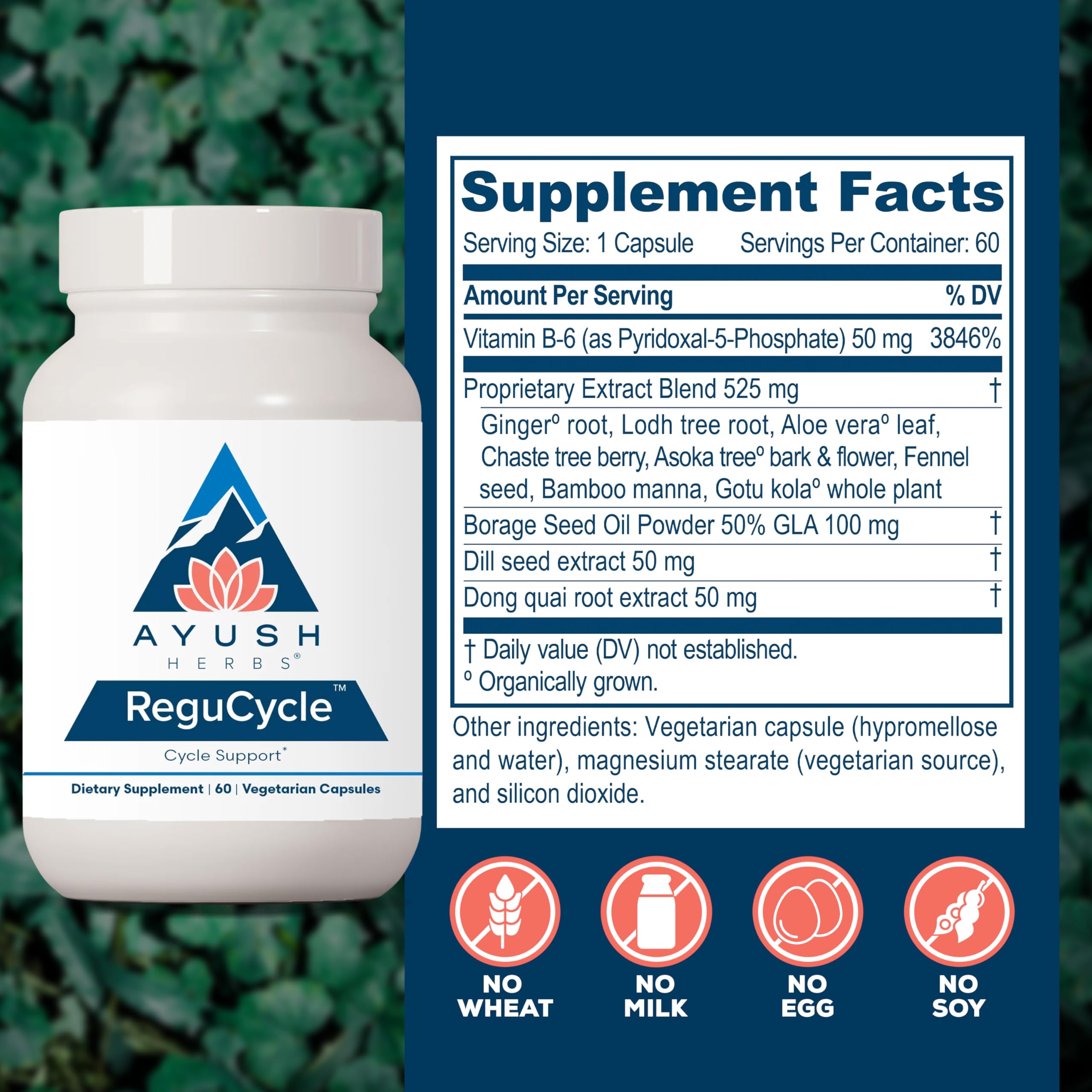 Ayush Herbs Regu-Cycle - Hormone Balance for Women, Hormonal Support, Period Support & Relief, Reproductive Health, Regulate Menstrual Cycle, Ovarian Support Supplement - 60 Vegetarian Capsules Ayush HerbsAu supplements