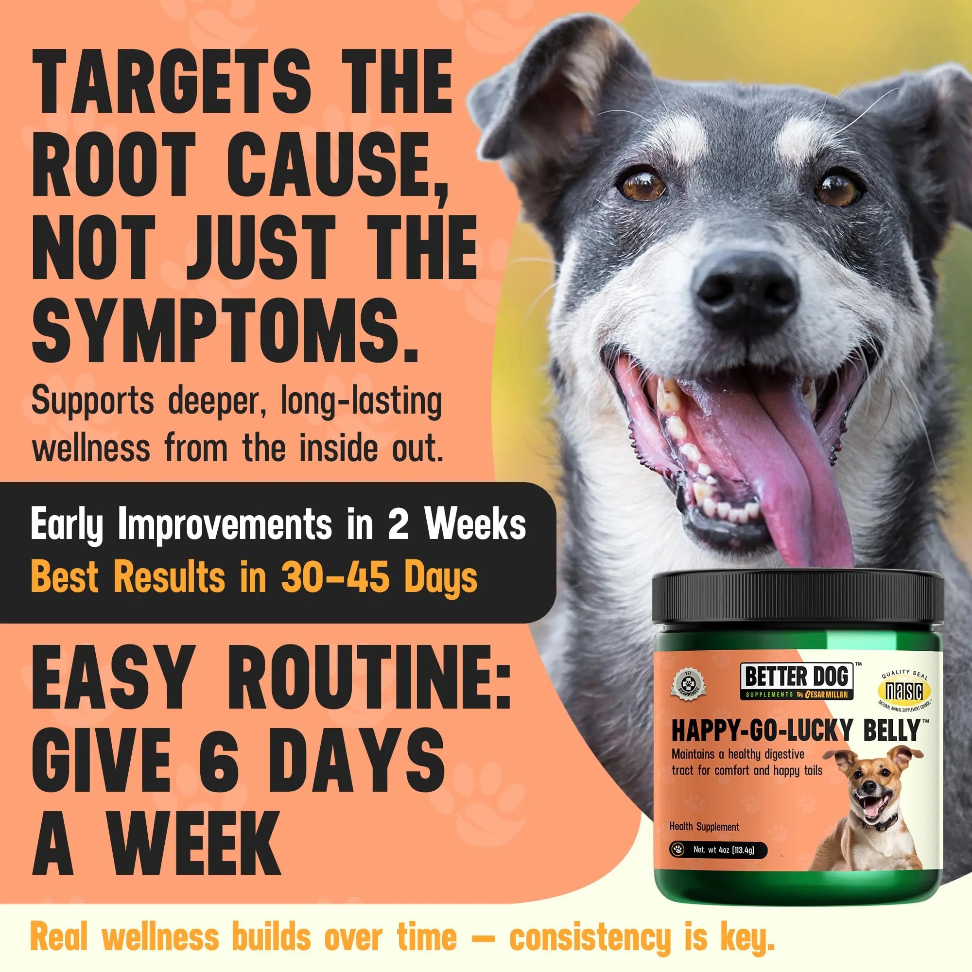 Better Dog Supplements Happy-Go-Lucky Belly by Cesar Millan - Natural Dog Digestive Support Powder – Dog Constipation Relief, Gut Balance & Regularity with Herbal Fiber for Dogs – 4oz (60-Day Supply) Better Dog Supplements By Cesar Millannz supplements