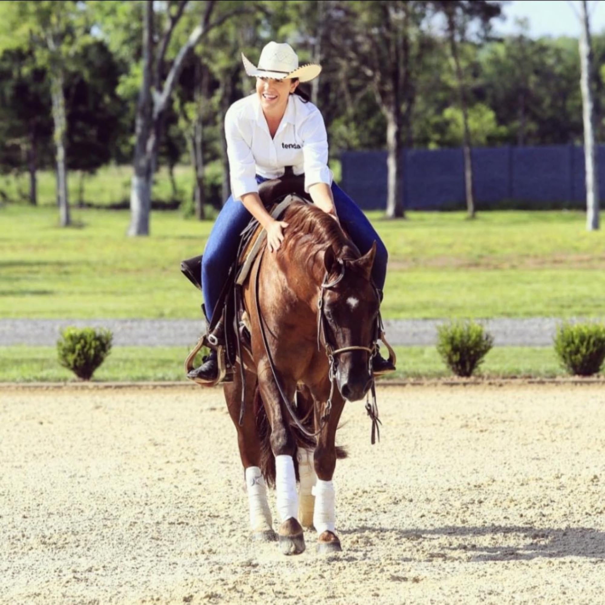 Tenda Liniment Gel - Designed to Provide Temporary Soothing, Relief for Sore and Stiff Muscles Tenda Horse ProductsAu supplements