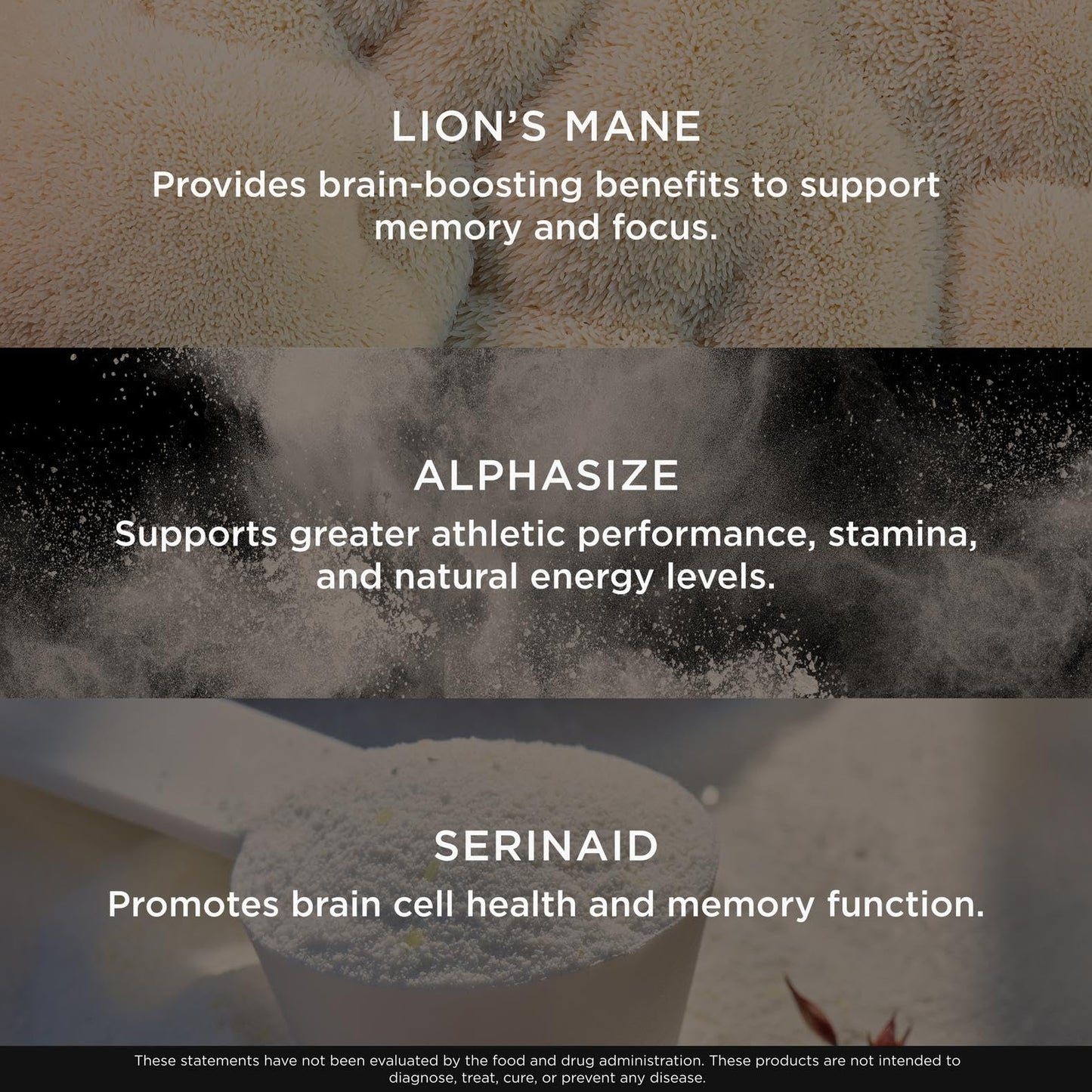 Genius Consciousness - Premium Nootropic Powder for Focus, Memory & Mental Clarity - AlphaSize, NeuroFactor, Lion’s Mane & Dynamine - Natural Brain Booster for Studying, Work & Creativity – Watermelon The Genius BrandUS supplements
