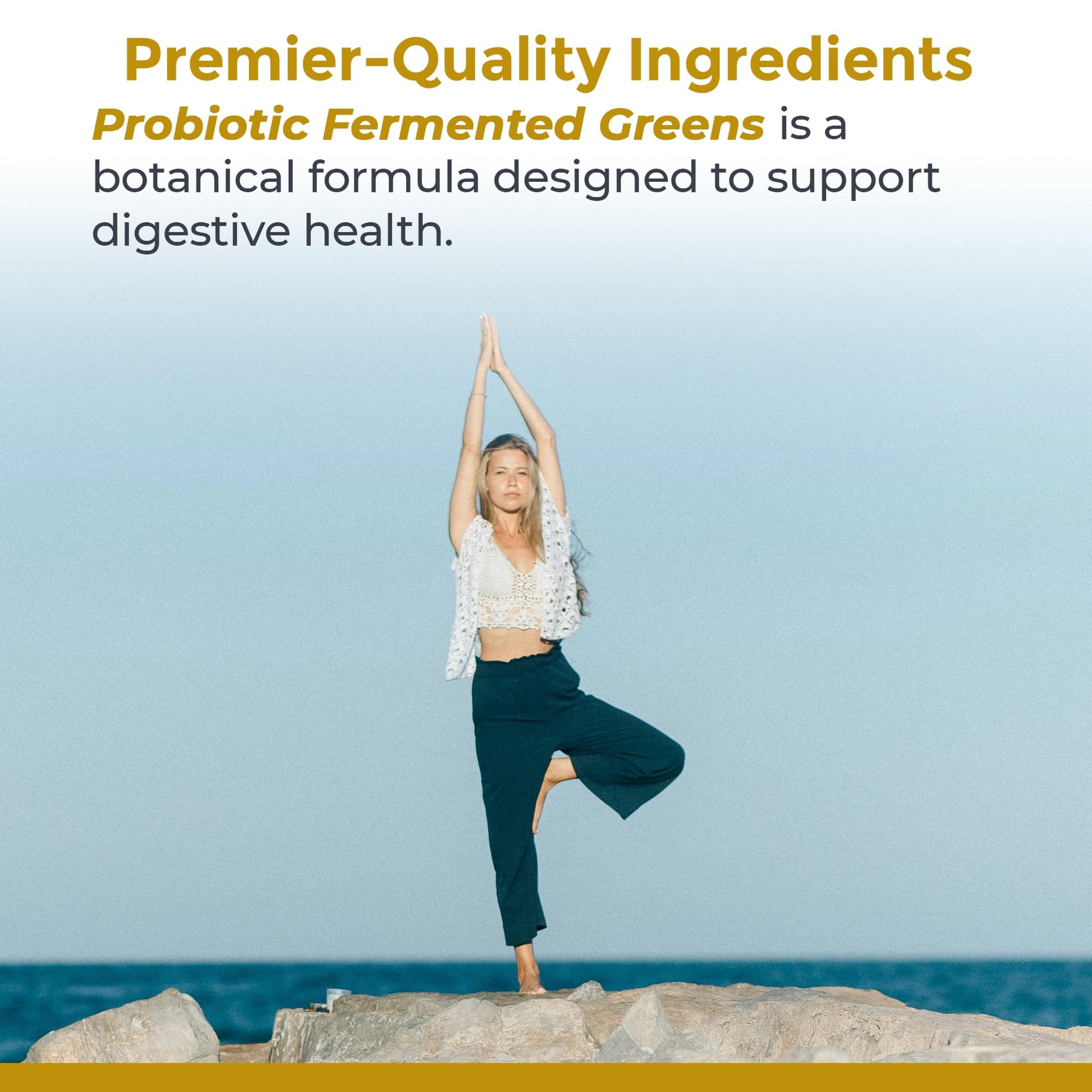 Premier Research Labs Probiotic Fermented Greens - Super Greens Supplement, Superfood Blend, Organic Vitamins with Probiotic - Daily Greens with Spinach, Chlorella, & More - 150 Powder Filled Capsules Premier Research LabsAu supplements