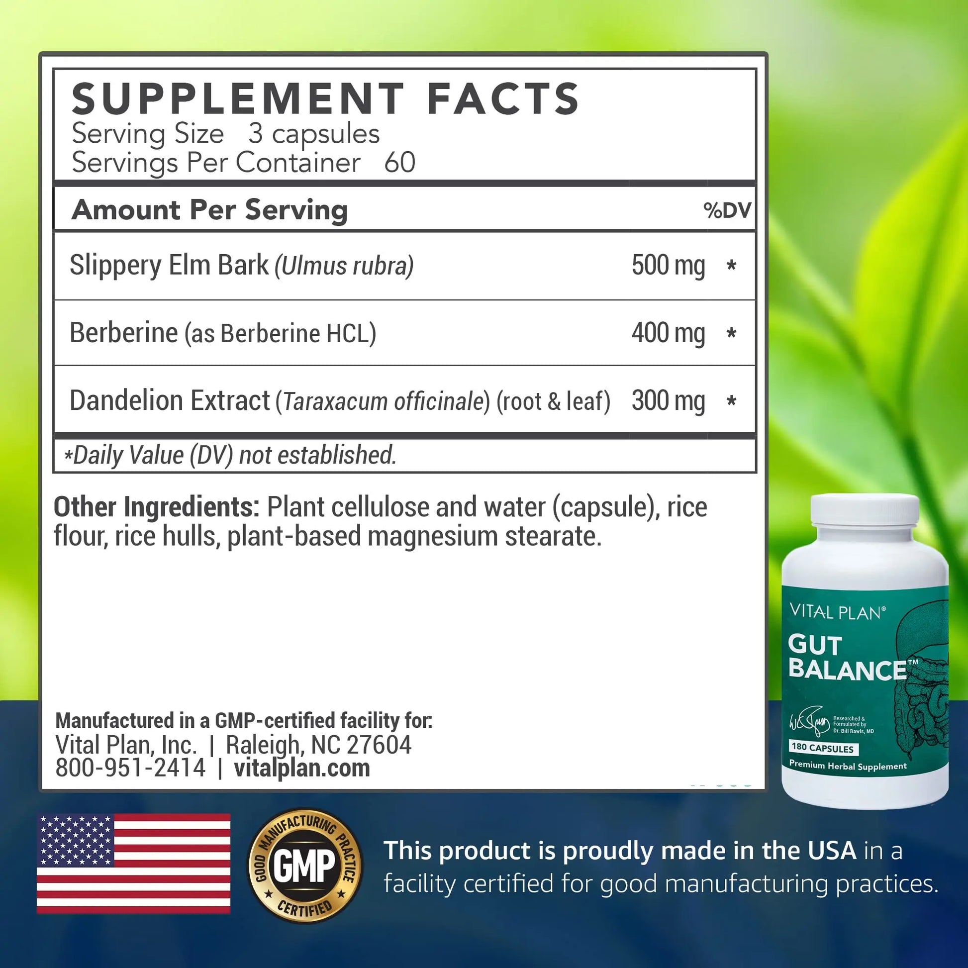 Vital Plan Gut Balance Supplement by Dr. Bill Rawls - Advanced Digestive Health Support Formula w/Clinical-Grade Slippery Elm Bark, Berberine & Dandelion Extract for Women & Men (180 Capsules) Vital PlanAu supplements
