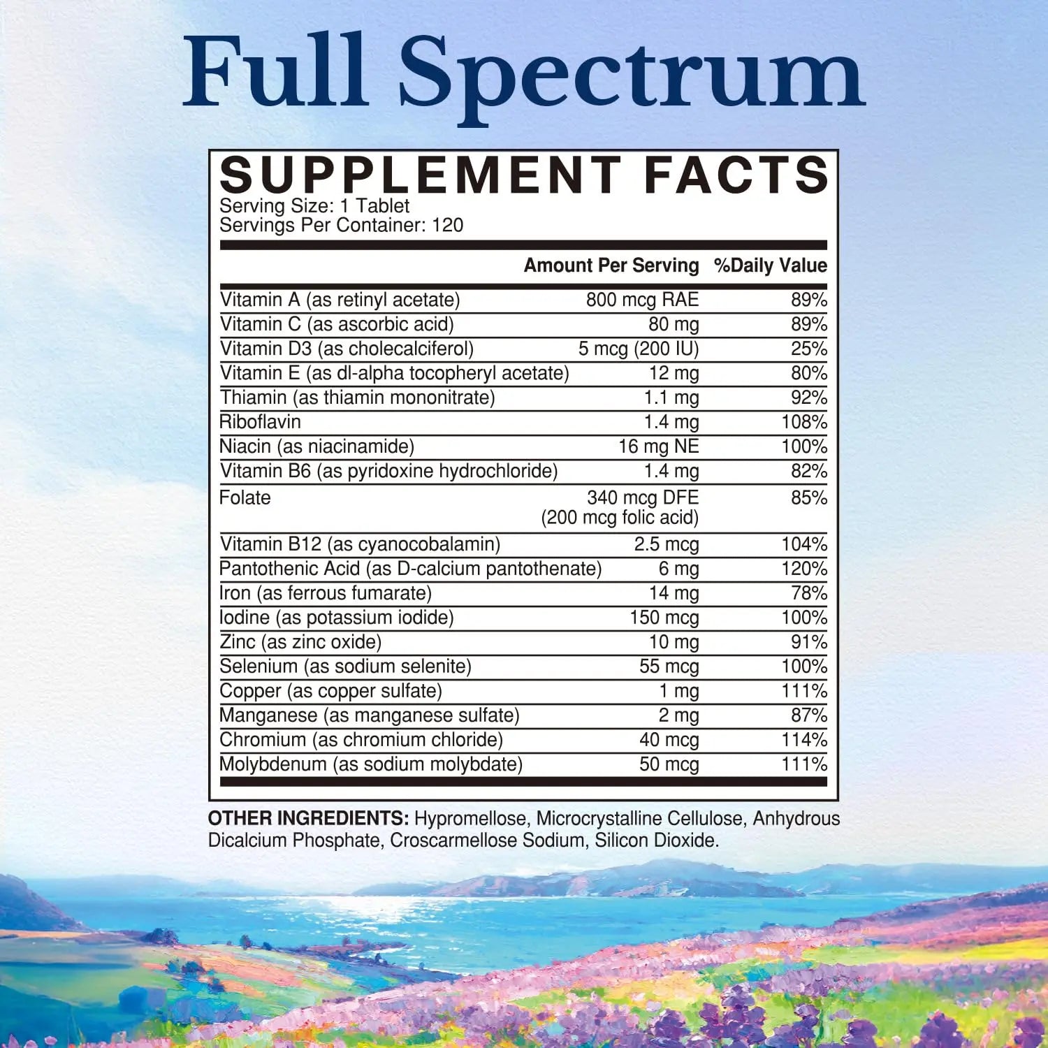Vitalitown Multivitamin for Women & Men, with Iron, Zinc, Vitamin D3, A, C, B, E, 19 Key Nutrients, One Per Day VitalitownAu supplements
