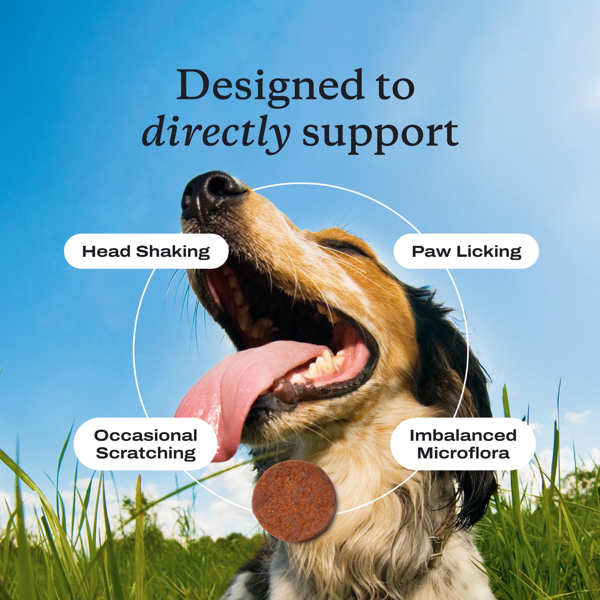 PetLab Co. Allergy & Immune Probiotics for Dogs, Support Seasonal Allergies, Gut & Digestive Health - Pork Flavor - 30 Soft Chews - Packaging May Vary PetLab Co.Au supplements