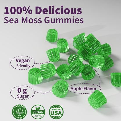 Sea Moss Supplement 5000mg, Sugar Free Sea Moss Gummies, Irish Sea Moss EnvyDealUS supplements