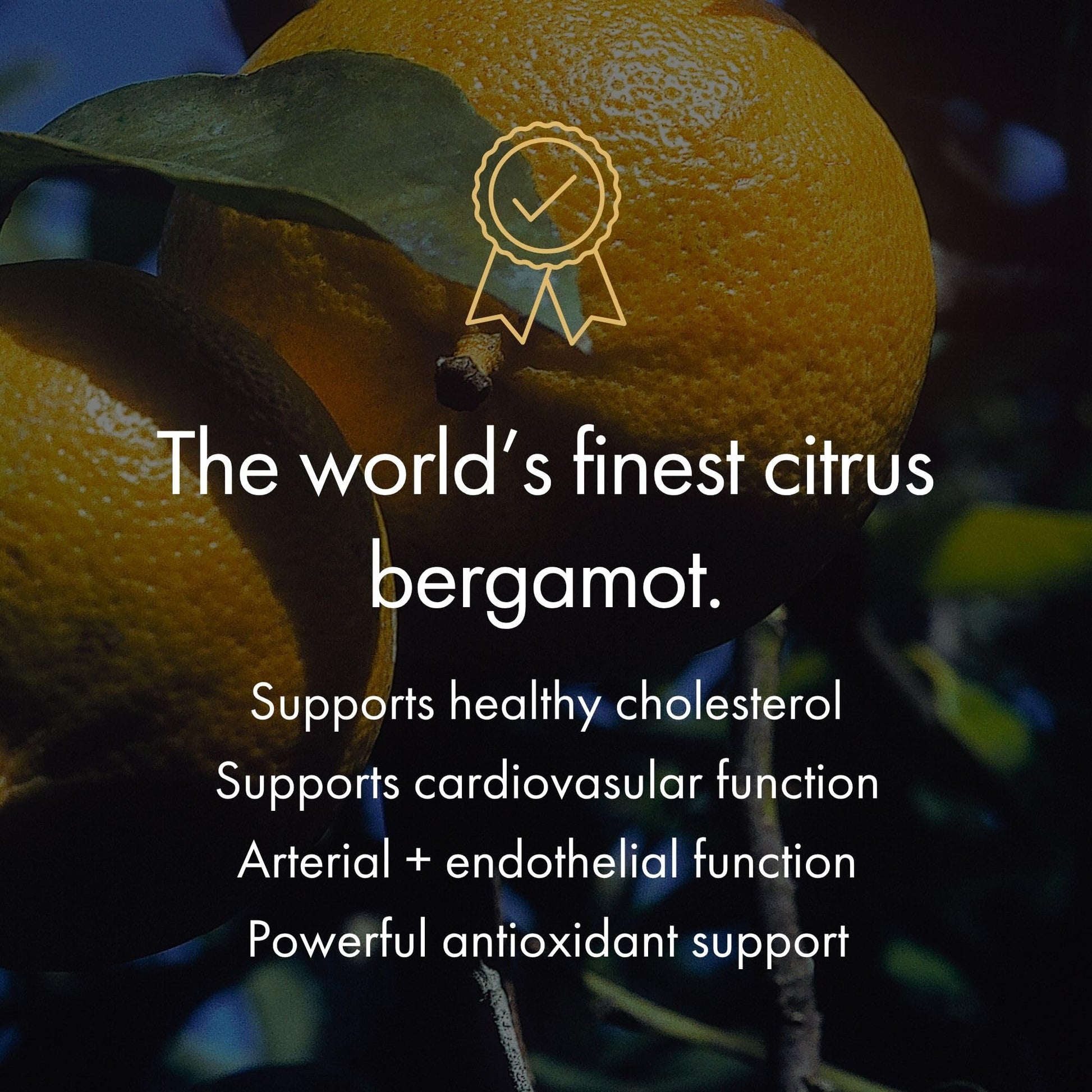 NAOMI Italian Citrus Bergamot Plus Nitric Oxide Boost, Award-Winning Cardiologist Dvlpd, Supports Healthy Cholesterol & Blood Pressure in Normal Range, with 7 Key Polyphenols, 30-Day Supply NAOMIAu supplements