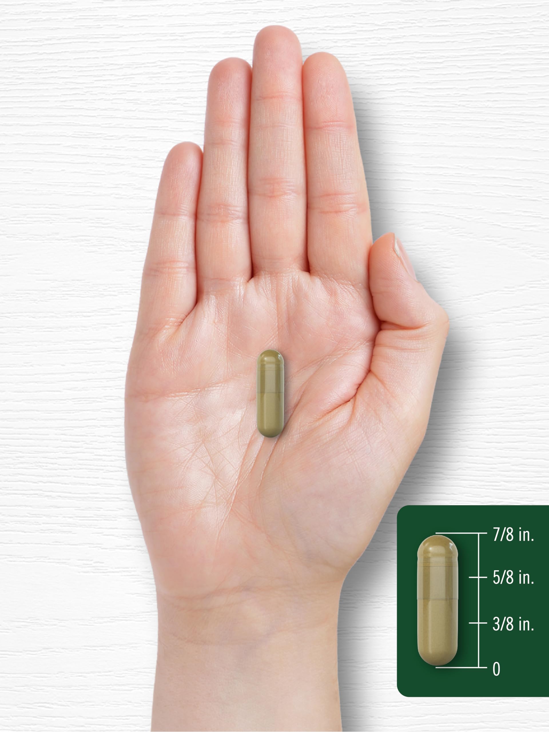 Carlyle Super Greens Capsules | 250 Count | Blend of 13 Vegetables and Greens Plus 17 Fruits | Non-GMO & Gluten Free Supplement CarlyleAu supplements