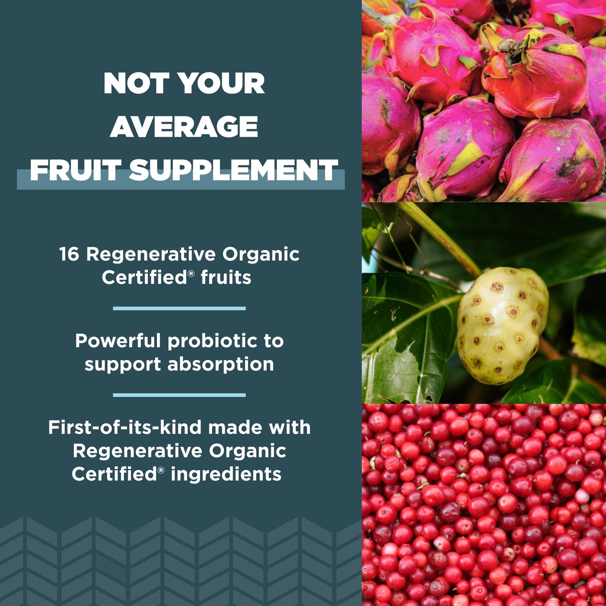 Ancient Nutrition Regenerative Organic Certified SuperFruits Capsules, Supports Gut and Immune System Health, Made with Probiotics, Dragonfruit, Mulberry, and Goji, 60 Count Ancient NutritionAu supplements