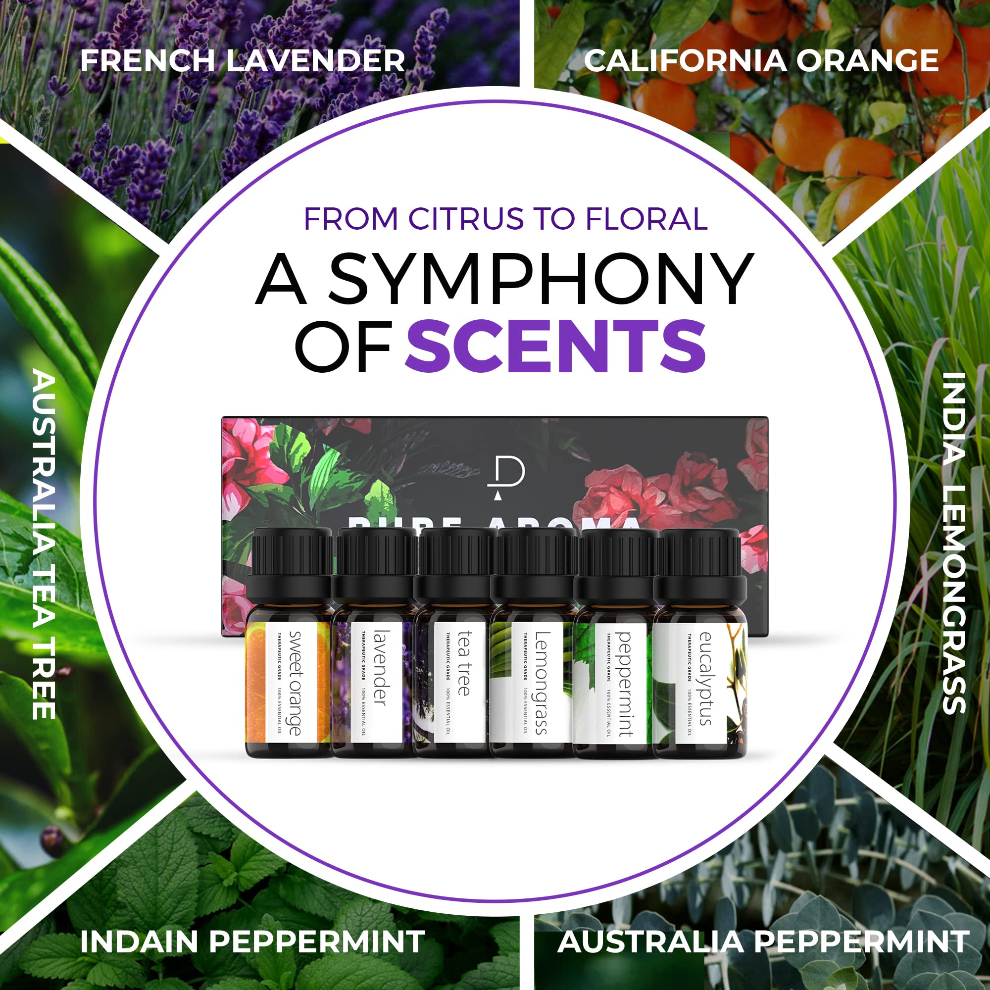 Essential Oils by PURE AROMA 100% Pure Oils kit- Top 6 Aromatherapy Oils Gift Set-6 Pack, 10ML Pure AromaAu supplements