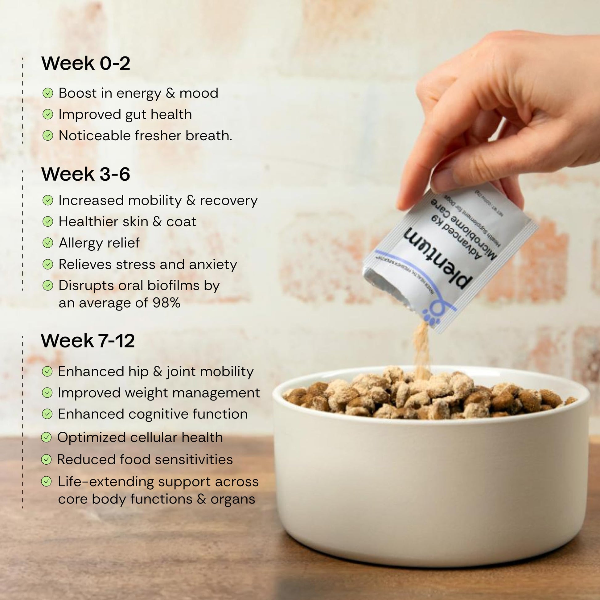 Daily Prebiotic + Postbiotic Dog Supplement Powder | 12-in-1 Support for Gut, Joints, Allergy, Immunity, Calming & Oral Health | Human-Grade Ingredients, No Artificial Flavors-No Fillers - 30 Sachets PlentumAu supplements