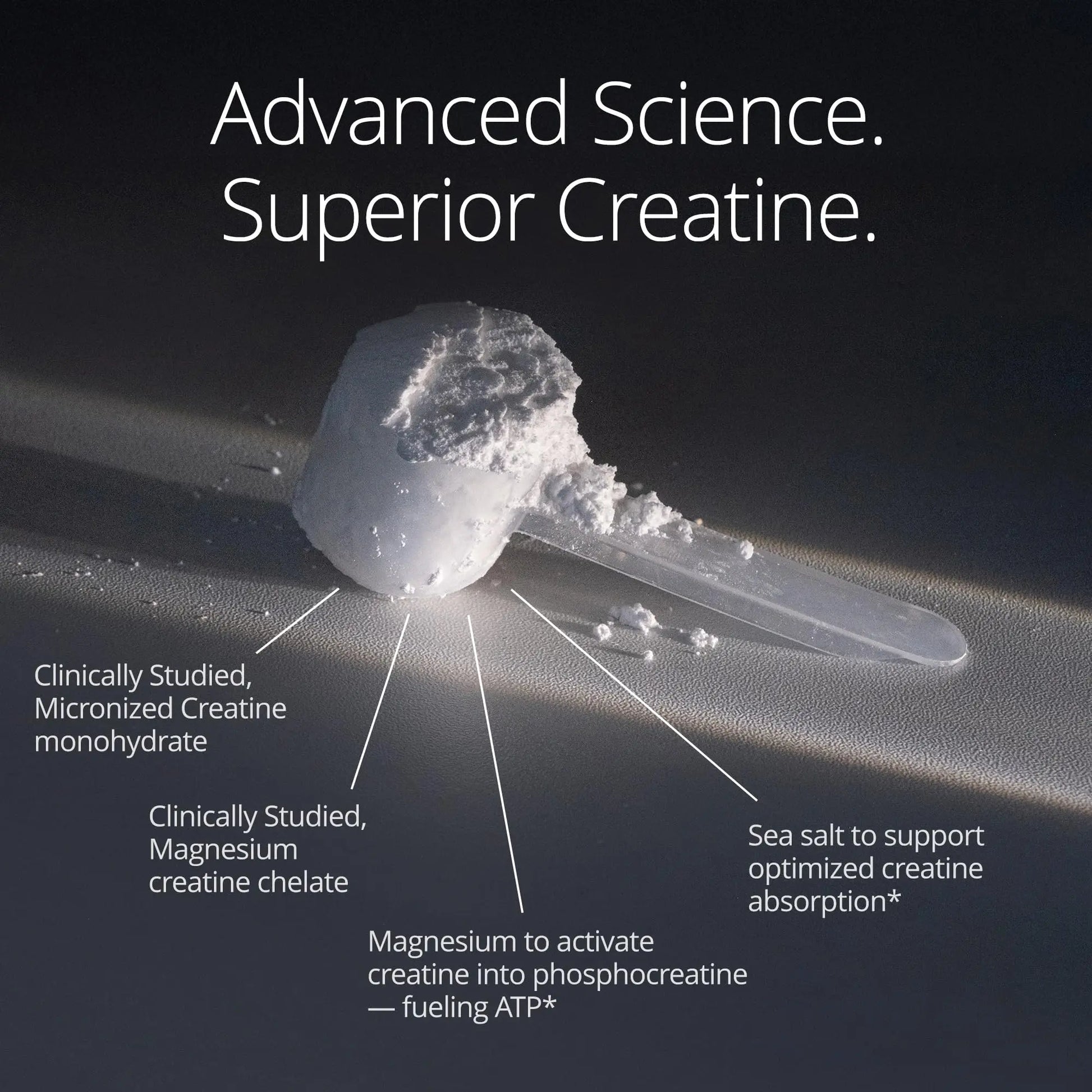 Qualia Creatine | Advanced Creatine Complex | 2 Sources + Magnesium | Optimized Absorption | Muscle Performance, Brain Function, & Healthy Aging (30 Servings) QUALIA LIFE SCIENCESnz supplements