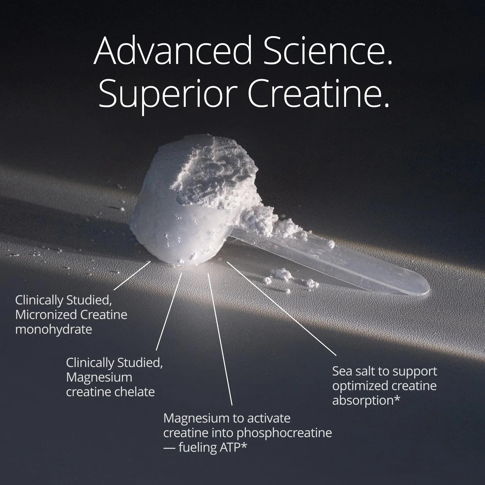 Qualia Creatine | Advanced Creatine Complex | 2 Sources + Magnesium | Optimized Absorption | Muscle Performance, Brain Function, & Healthy Aging (30 Servings) QUALIA LIFE SCIENCESnz supplements