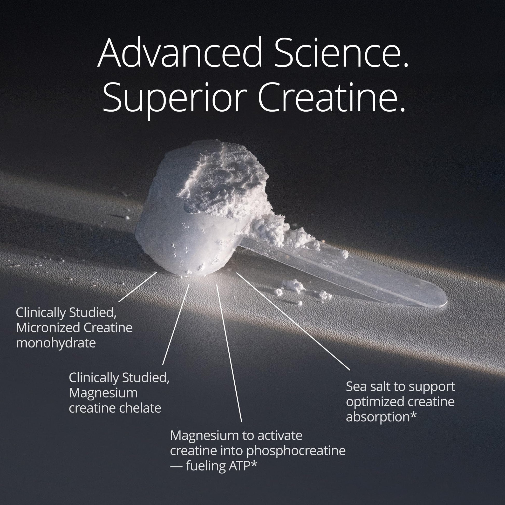 Qualia Creatine | Advanced Creatine Complex | 2 Sources + Magnesium | Optimized Absorption | Muscle Performance, Brain Function, & Healthy Aging (30 Servings) QUALIA LIFE SCIENCESAu supplements