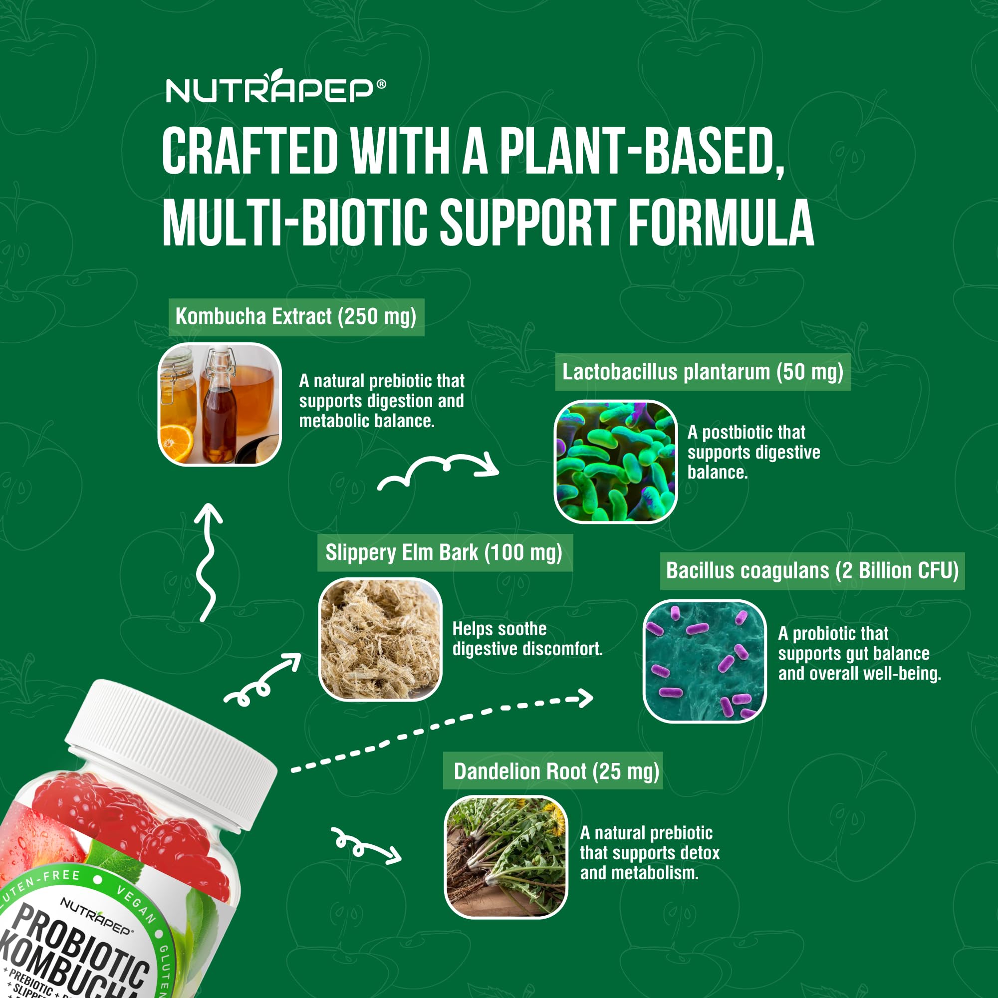 NutraPep Probiotic Kombucha Gummies - Women Men Probiotic Prebiotic Probiotic Blend for Gut Health Bloating Metabolism Support with Slippery Elm Bark Dandelion Root - Vegan Gluten Free Apple Flavor NutraPepAu supplements