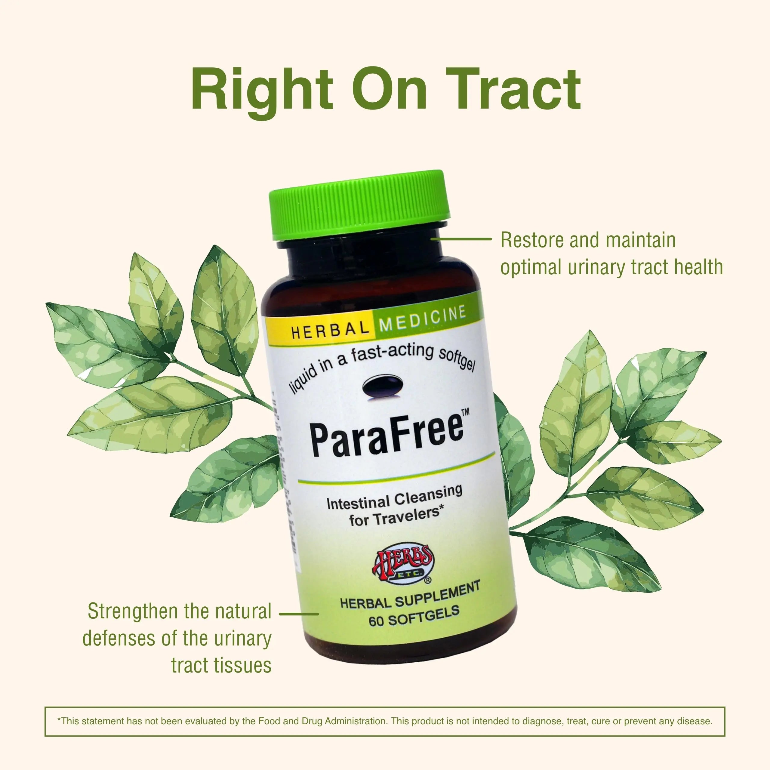 Herbs Etc. CranBladder ReLeaf Softgels - Bladder Health Support - Natural Supplement Formula to Aid Urinary Health & Comfort - Optimal Urinary Support with Cranberry - 60 Softgels (60 Servings) Herbs Etc.Au supplements