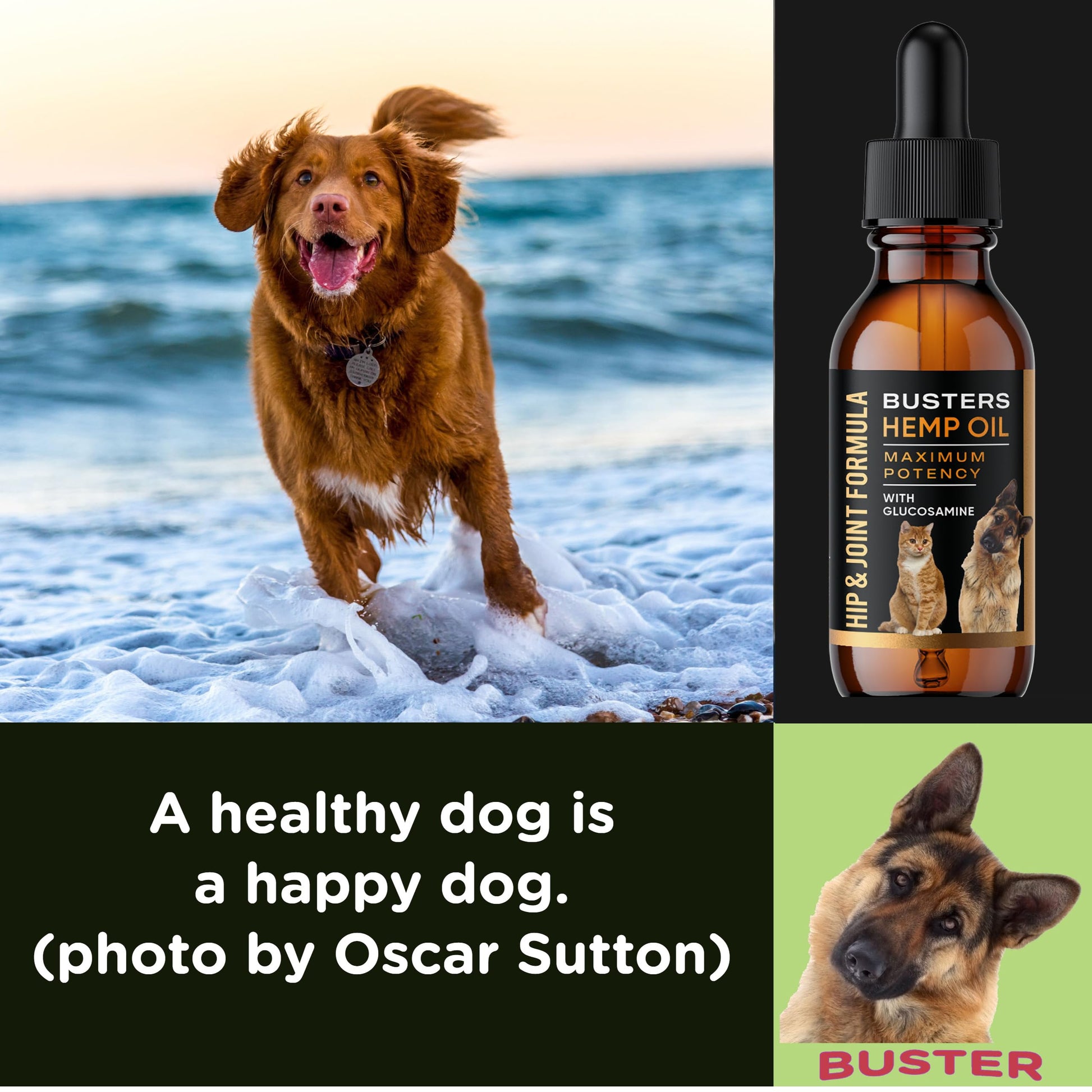 Busters Hip and Joint Hemp Oil Formula enriched with Glucosamine, Pain Relief for Dogs and Pets, Arthritis, and Advanced Mobility Support K2xLabsAu supplements