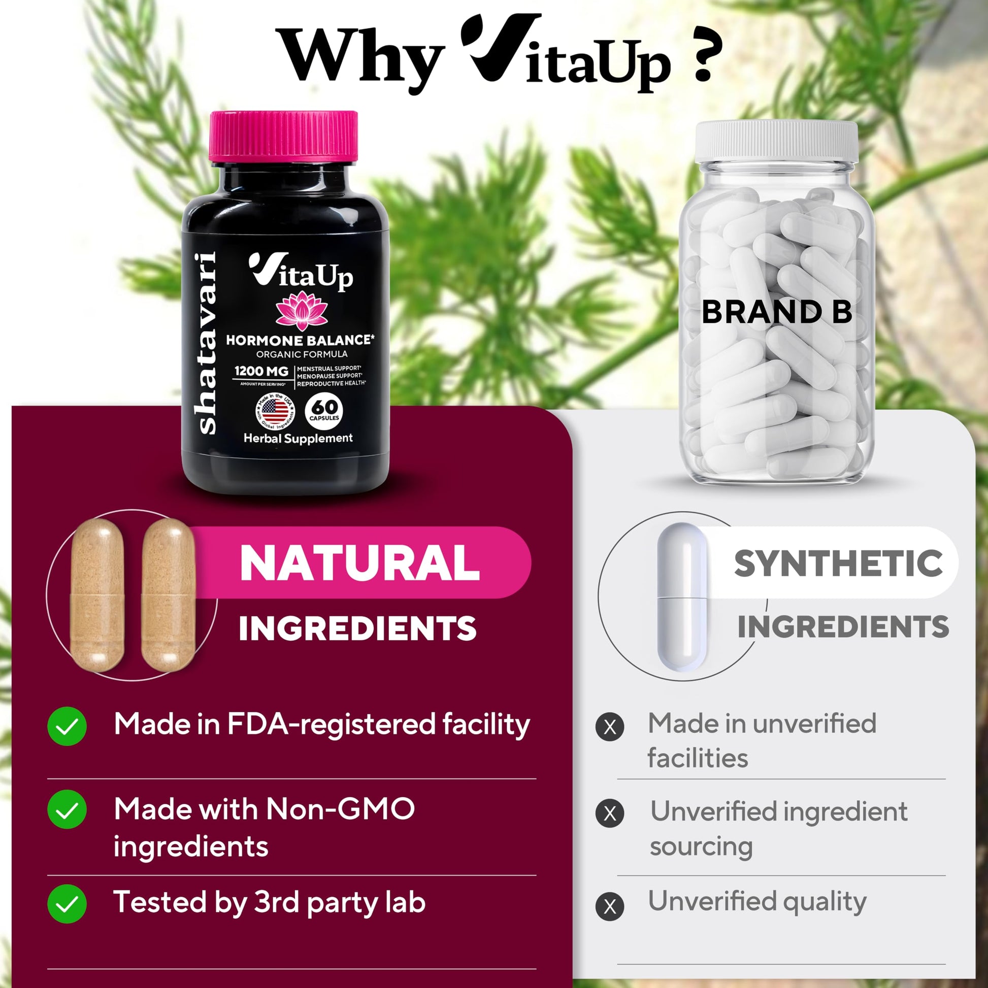 VitaUp Shatavari Capsules for Women 1200mg - USA Made Shatavari Root Supplement for Normal Hormonal Support, Menopause & Menstrual Wellness - 60 Vegan Capsules VitaUpAu supplements