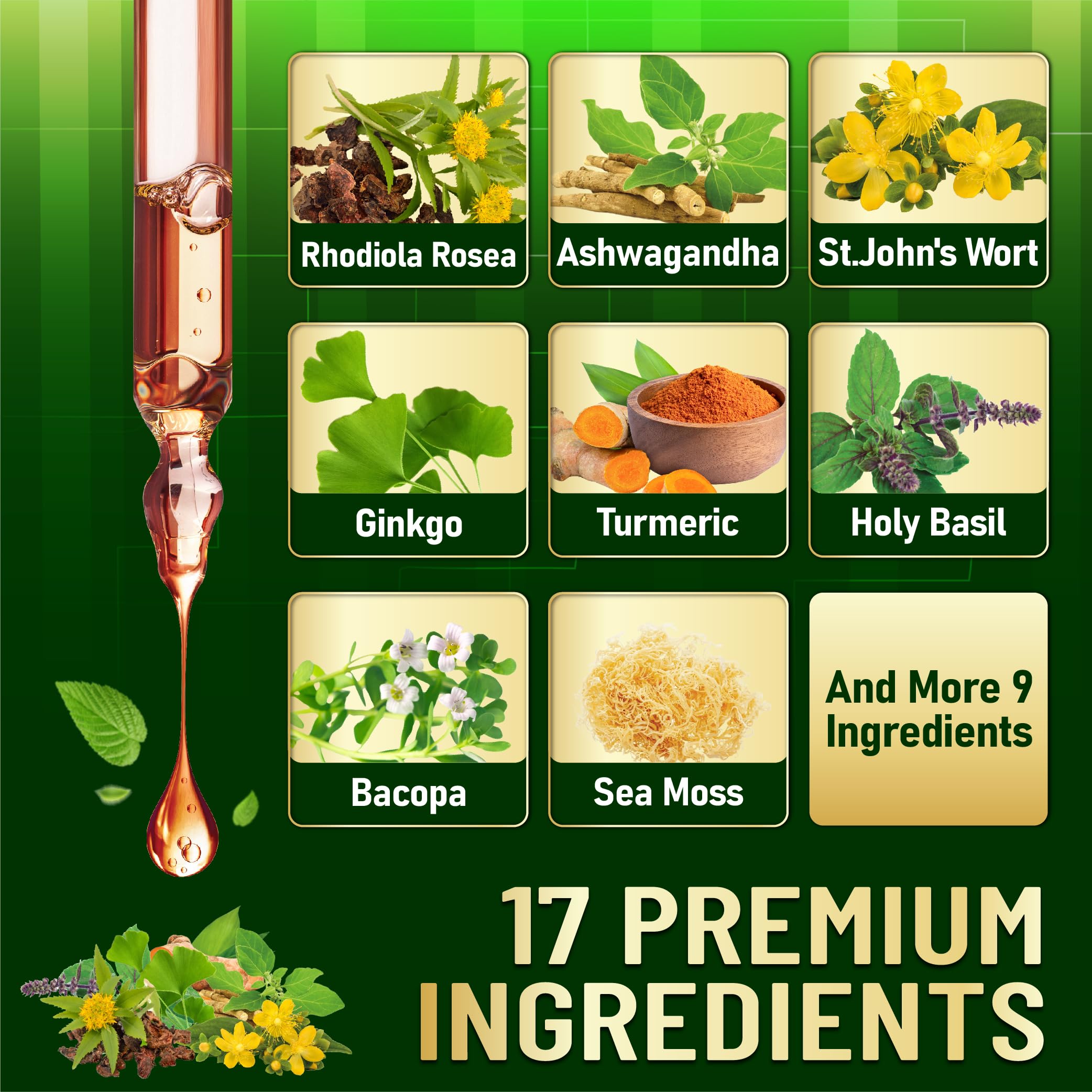 17in1 Rhodiola Rosea Liquid Supplement with Ashwagandha, Magnesium Glycine, L-Theanine, Vitamin C, Vitamin D3, Vitamin K2, Ginkgo, Turmeric, Holy Basil and More - 1 FL Oz - 60 Day Supply WELBUDAAu supplements