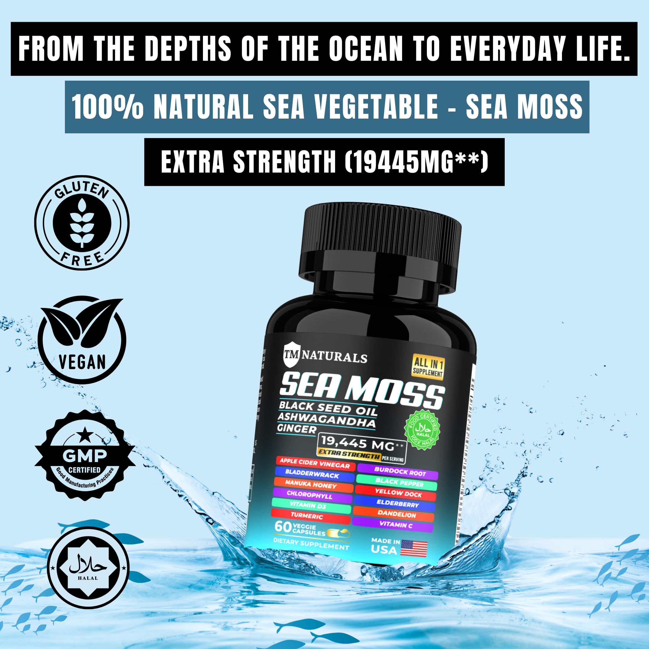 TM NATURALS Sea Moss with Black Seed Oil, Vitamin C, Ashwagandha and Turmeric for Immune Support & Energy - 60 Vegan Capsules + Free Pill Box TM NATURALSAu supplements