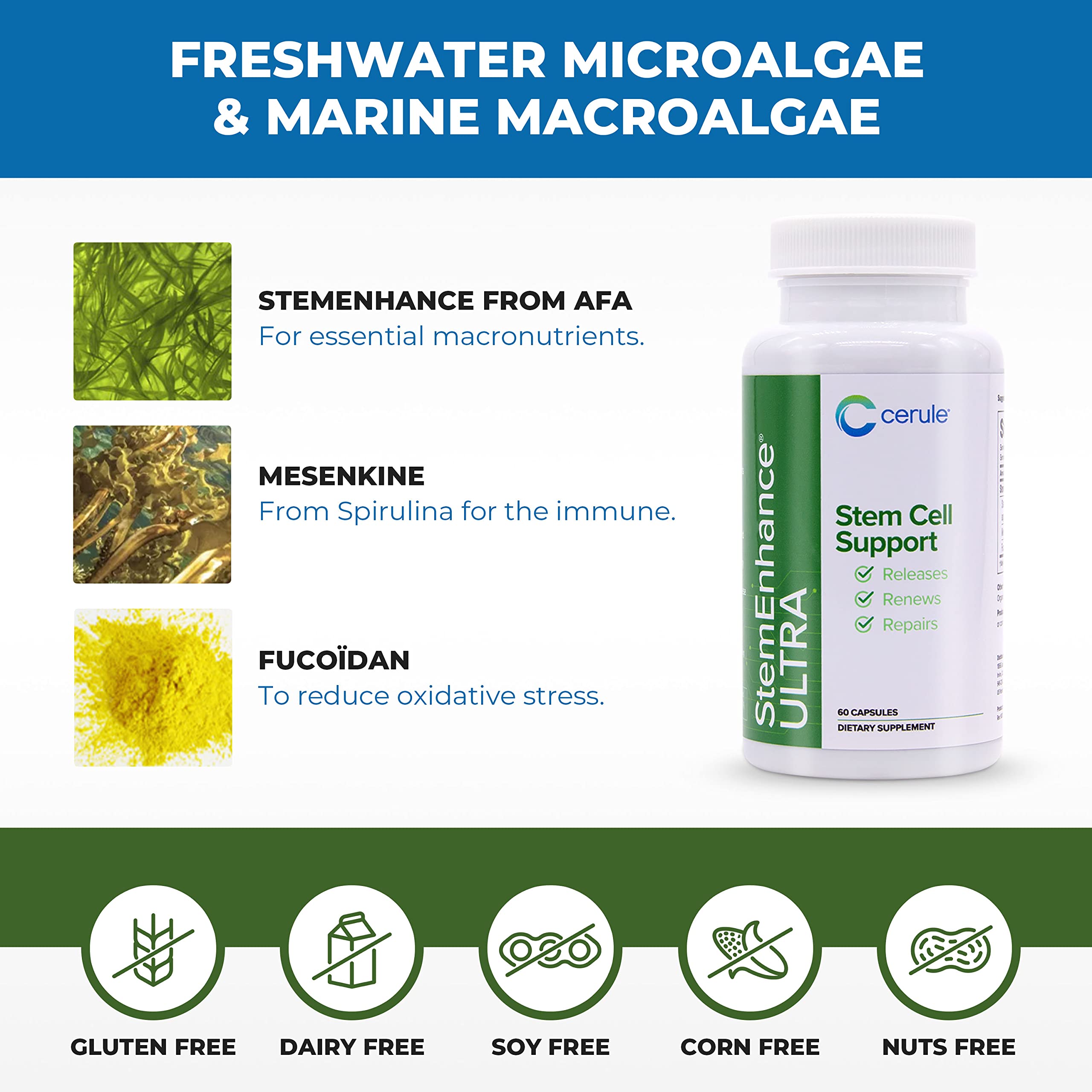 Cerule StemEnhance Ultra Natural Stem Cell Support Supplement – Freshwater Microalgae and Marine Macroalgae Extracts for Cellular Renewal, Immune Function, Energy, and Tissue Recovery – 60 Capsules CeruleAu supplements