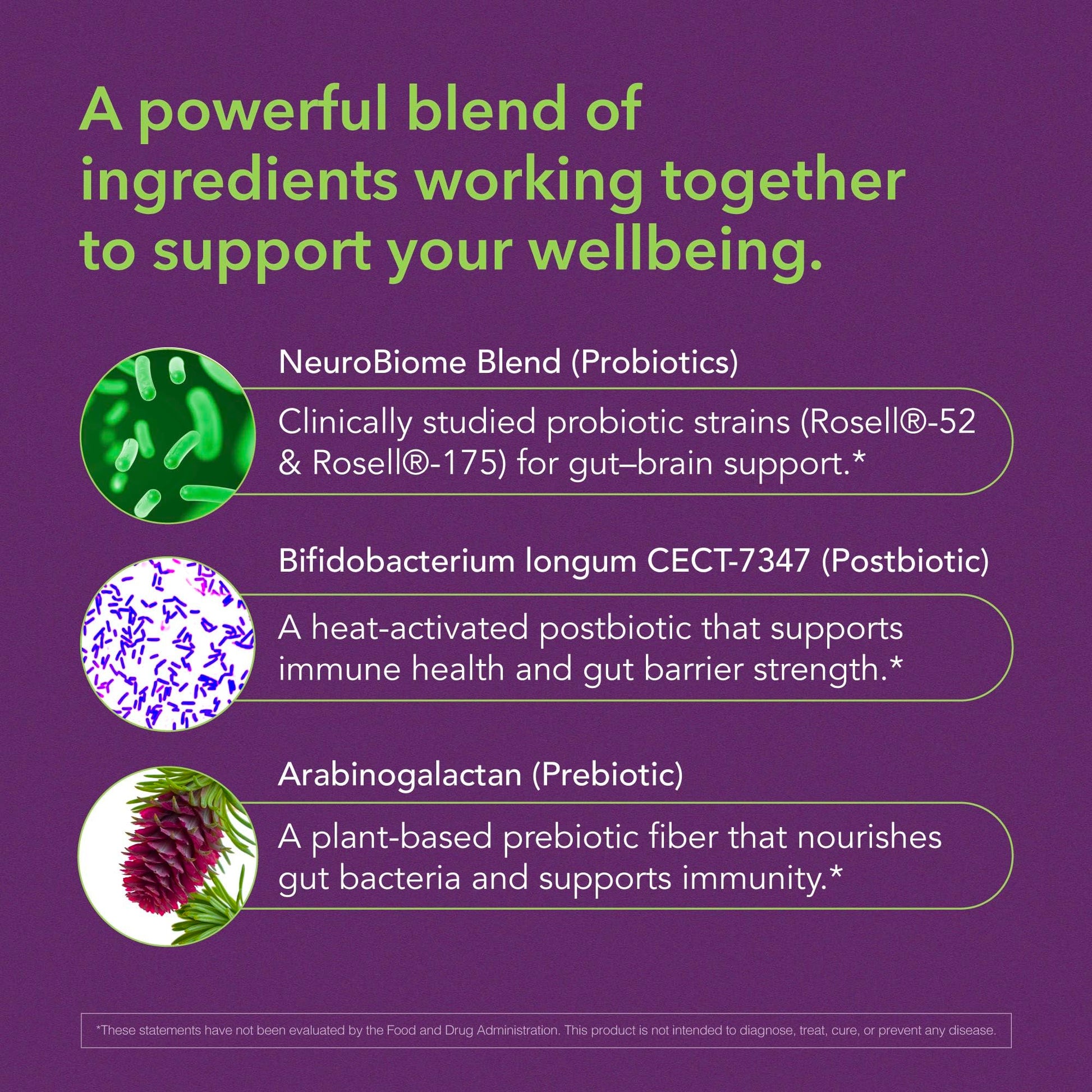 BIOLIGENT Tribiotic+ Prebiotic, Probiotic and Postbiotic Supplement for Women & Men, Gut Health, Immune Support, Bloating Relief, Daily Microbiome and Digestive Support, 30 Capsules, 30 Day Supply BIOLIGENTAu supplements