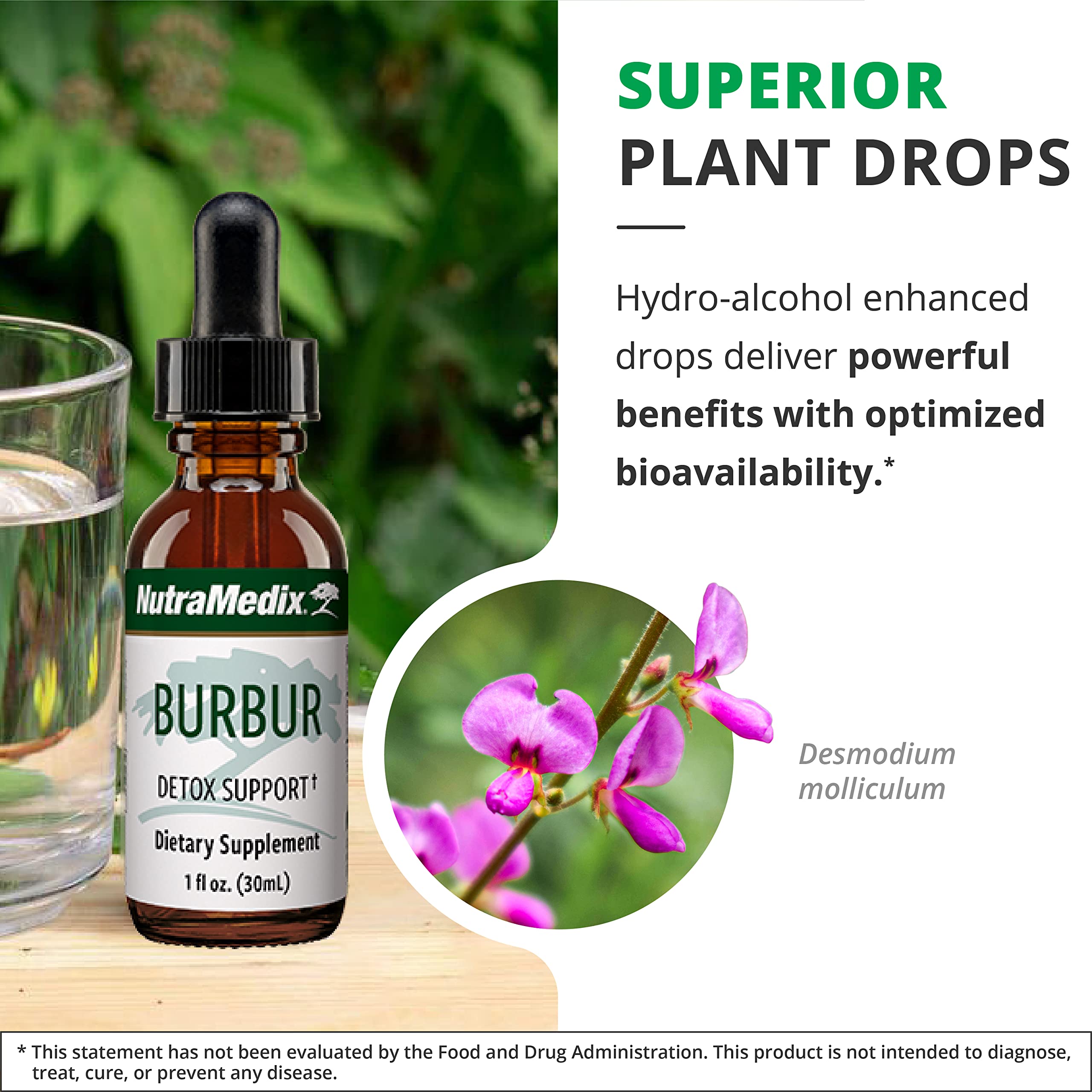 NutraMedix Burbur Detox Support Supplement - Desmodium Molliculum Extract Drops NutraMedixAu supplements