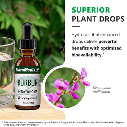 NutraMedix Burbur Detox Support Supplement - Desmodium Molliculum Extract Drops NutraMedixUS supplements
