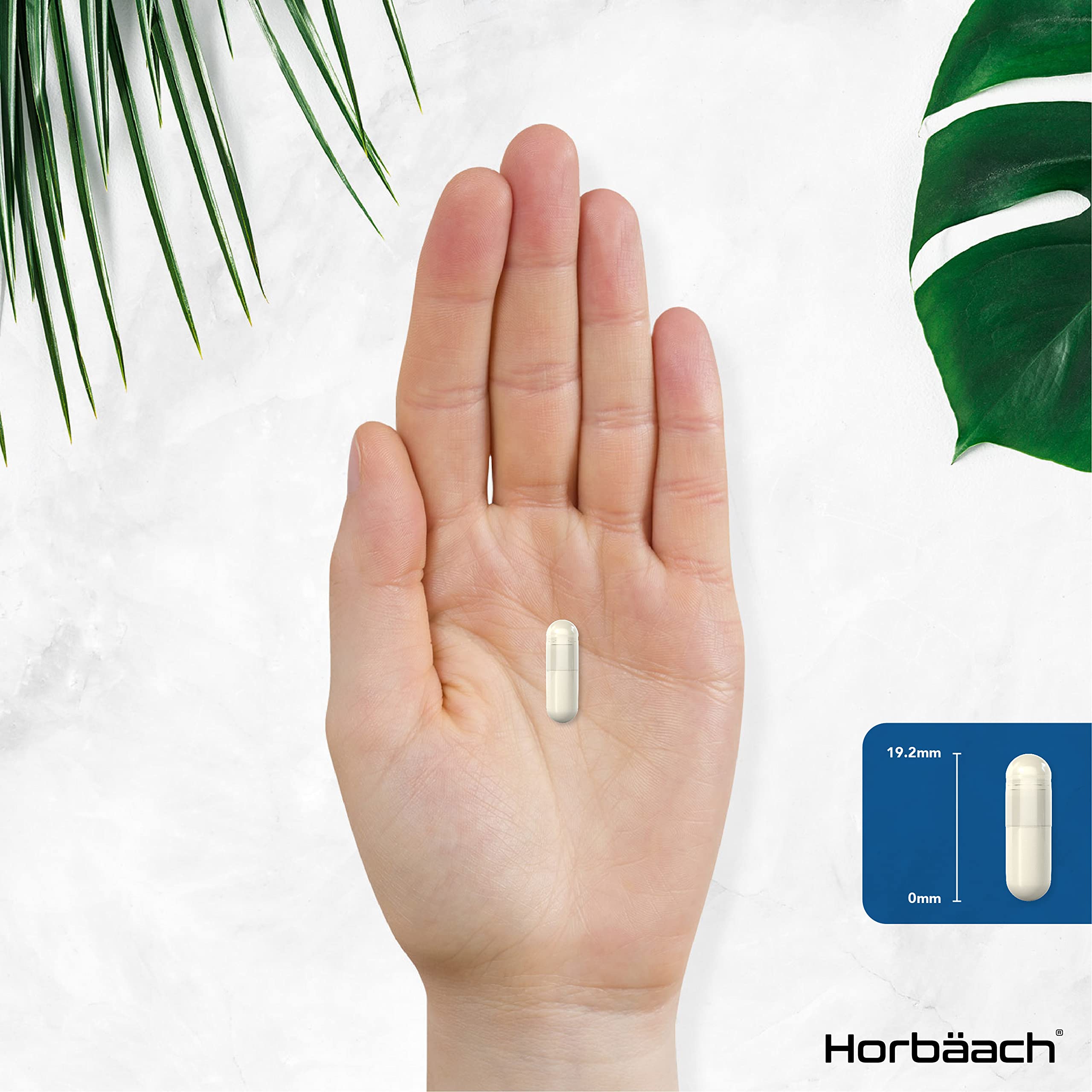 L-Methylfolate 1000ug | 200 Capsules | 5-MTHF Folate Supplement | Active Form HorbäachUS supplements